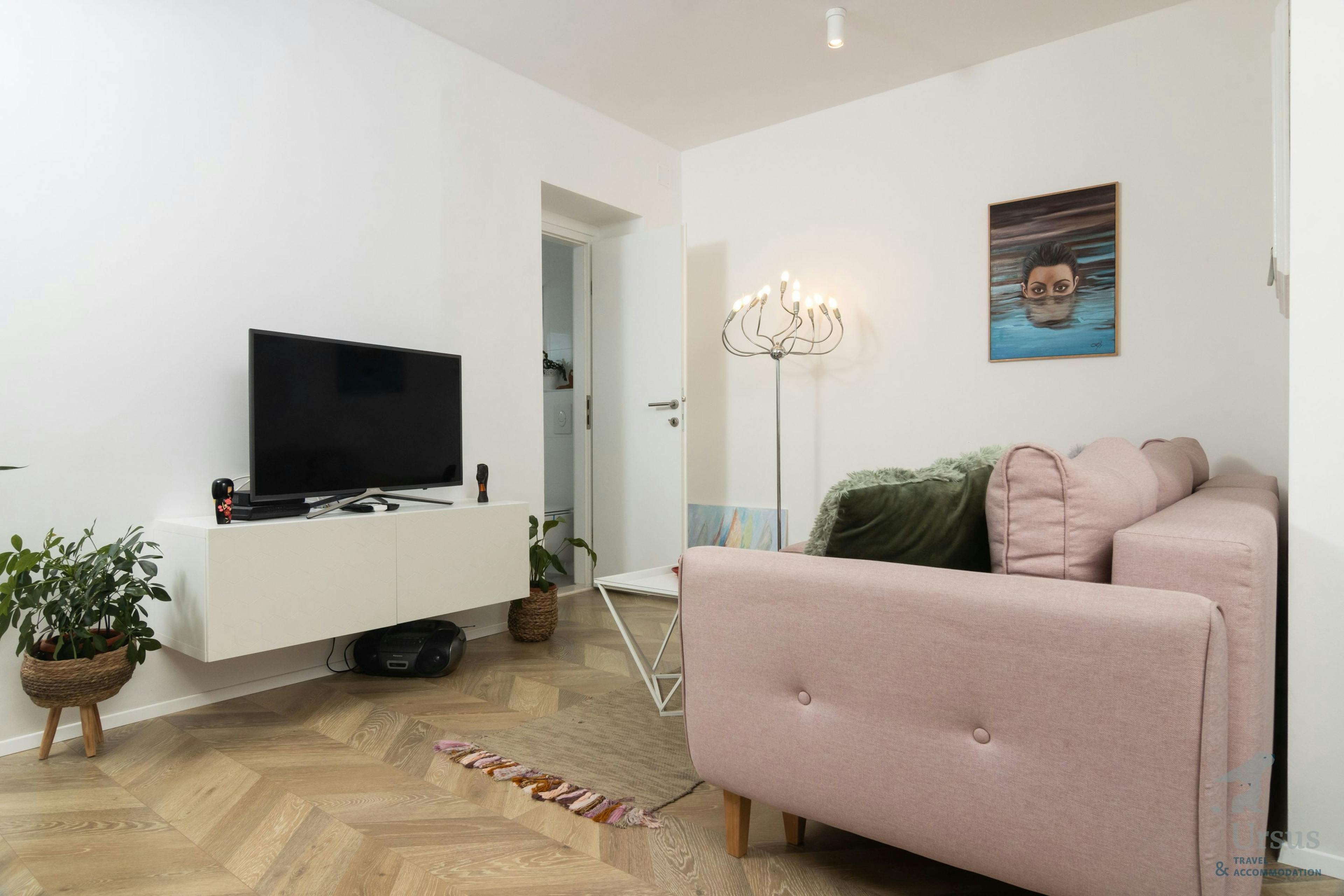 Living room area with a sofa bed and TV