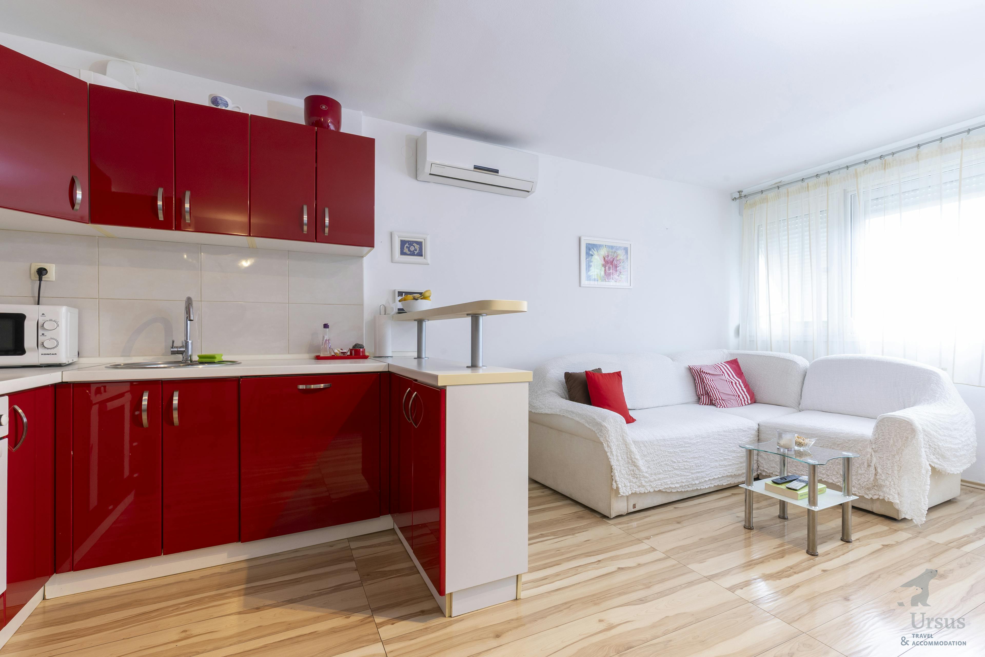 Kitchen with living area