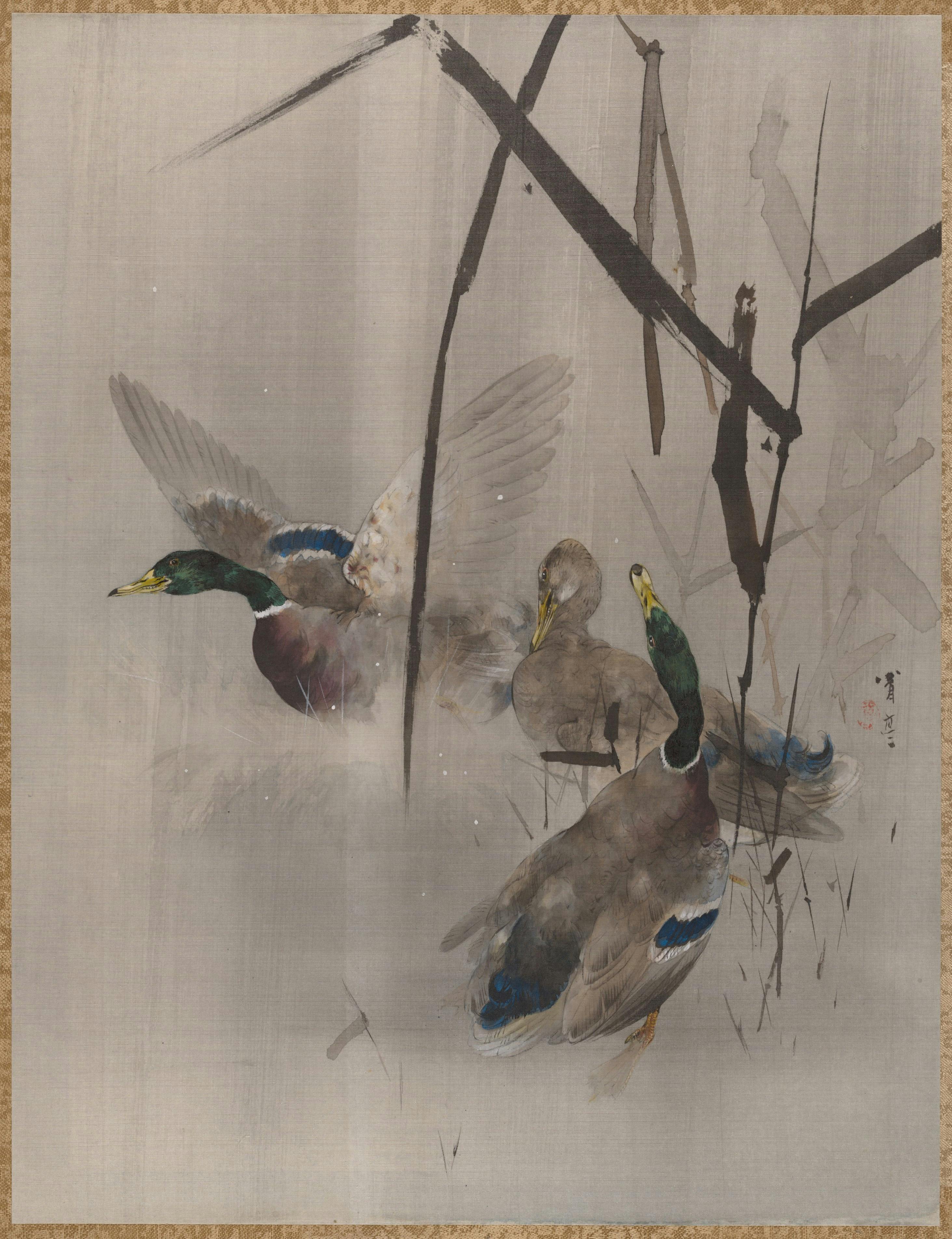 Ducks in the Rushes by Watanabi Seitei, at The Met, New York