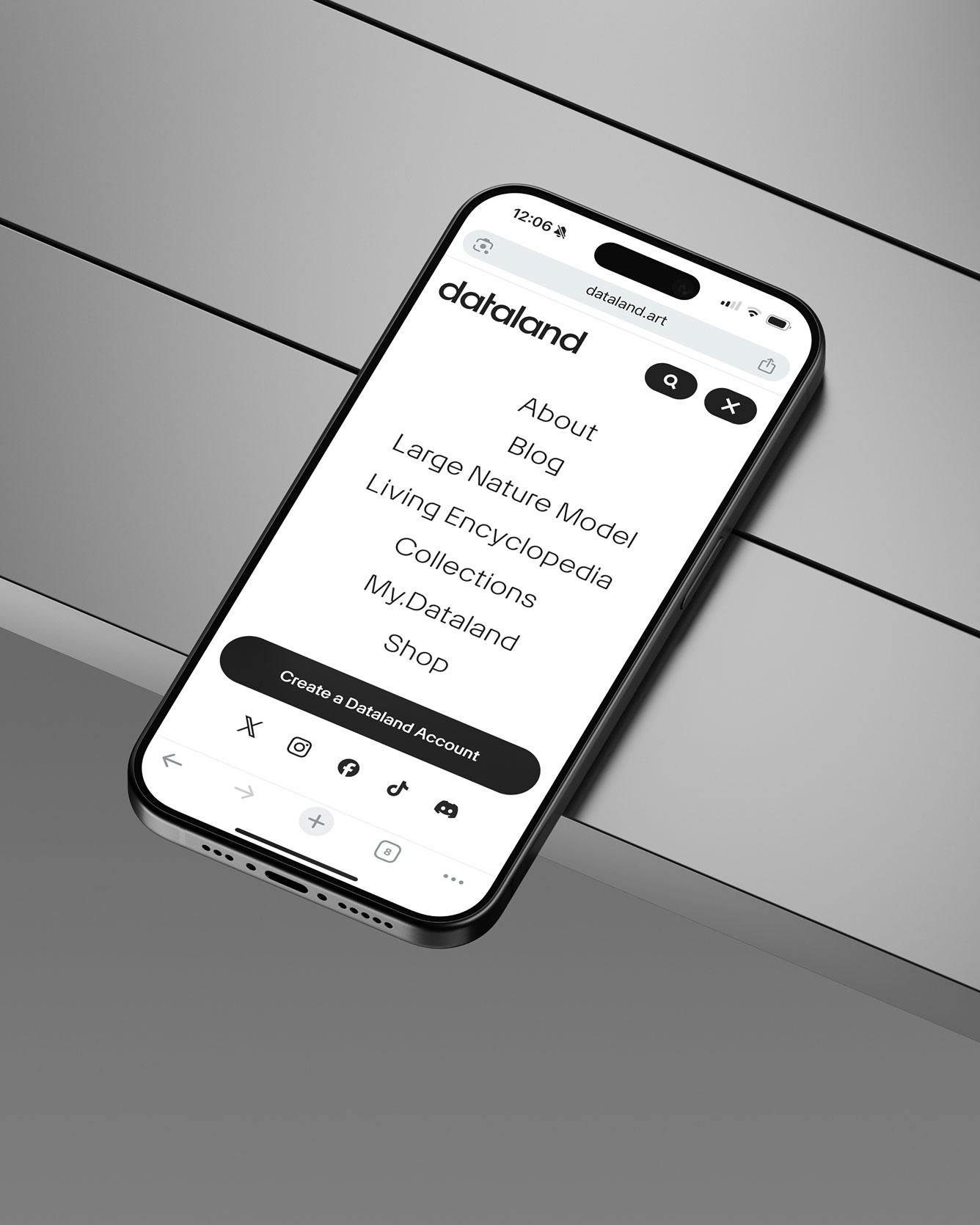 Dataland on Phone