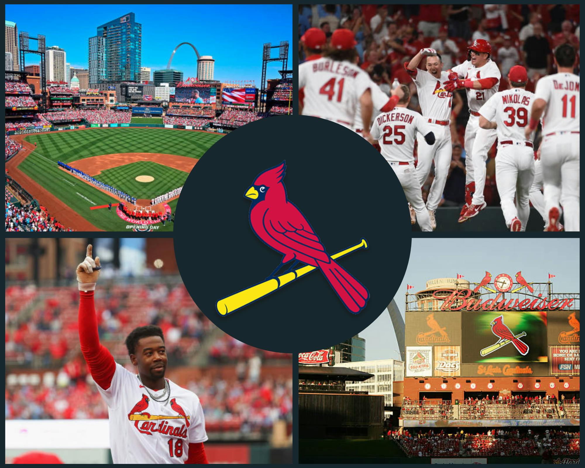 St. Louis Cardinals, St. Louis, Missouri, MLB