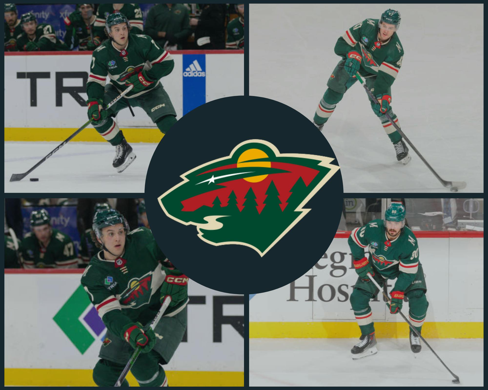 Minnesota Wild, Saint Paul, Minnesota, NHL