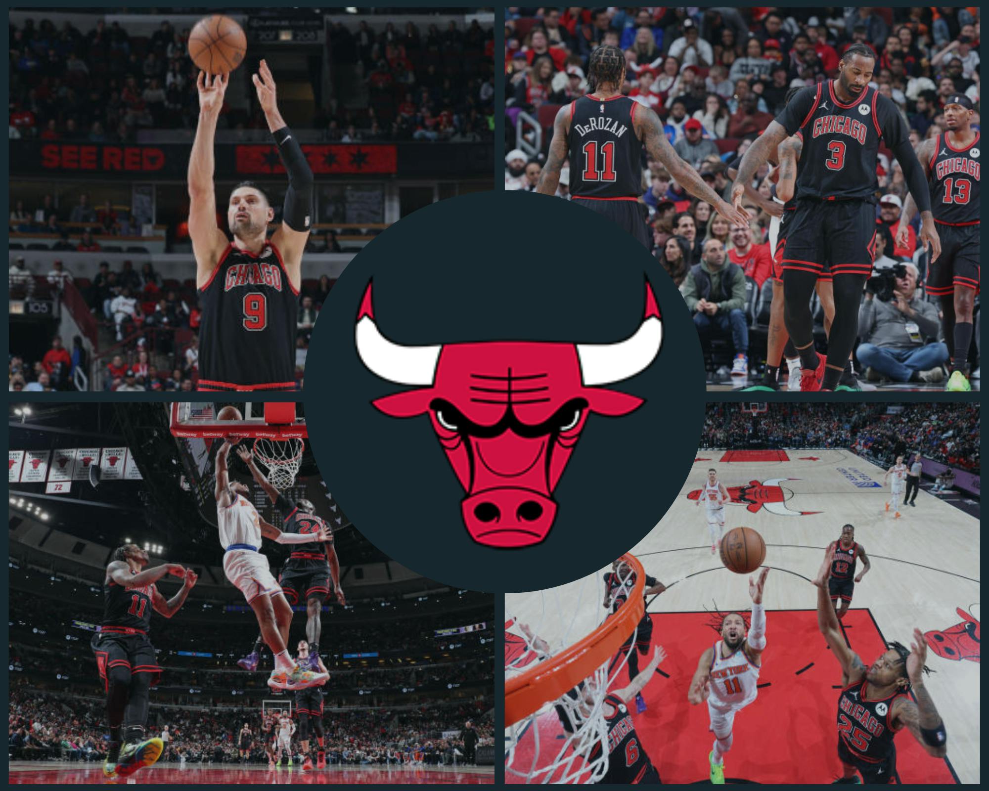 Chicago Bulls, Chicago, Illinois, NBA