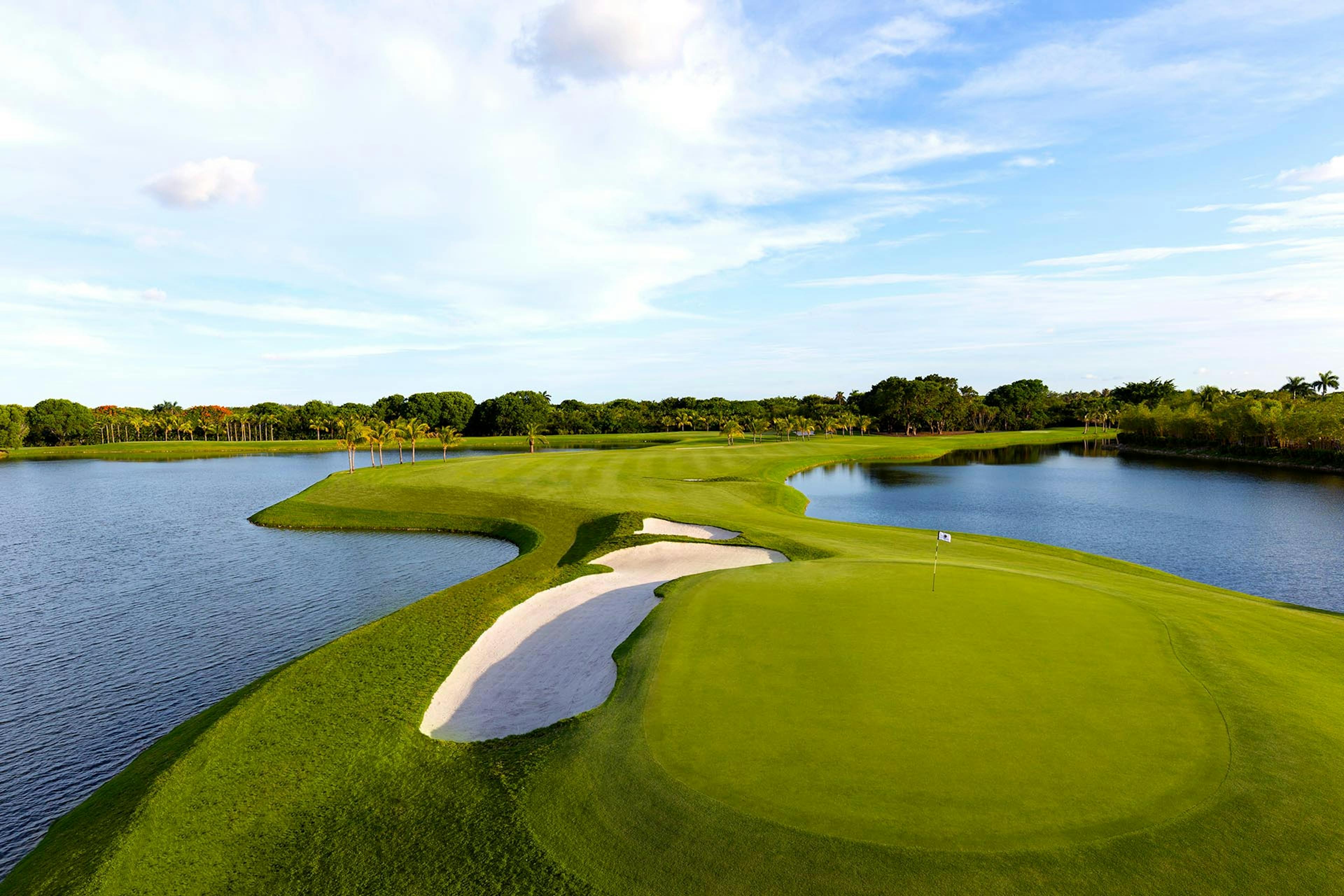 Trump National Doral (The Golden Palm)