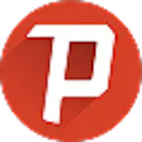 P logo