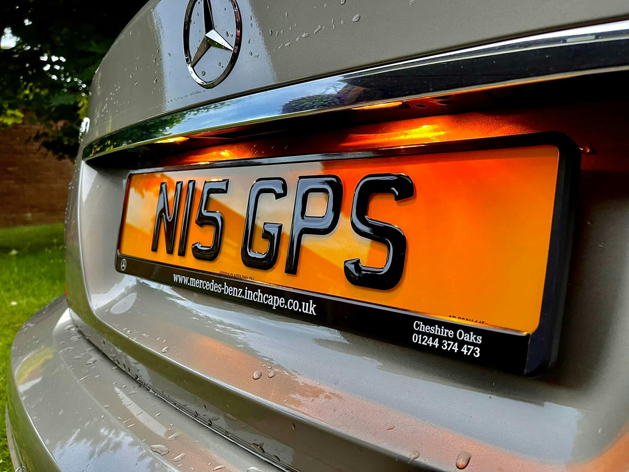 3D Gel rear number plate