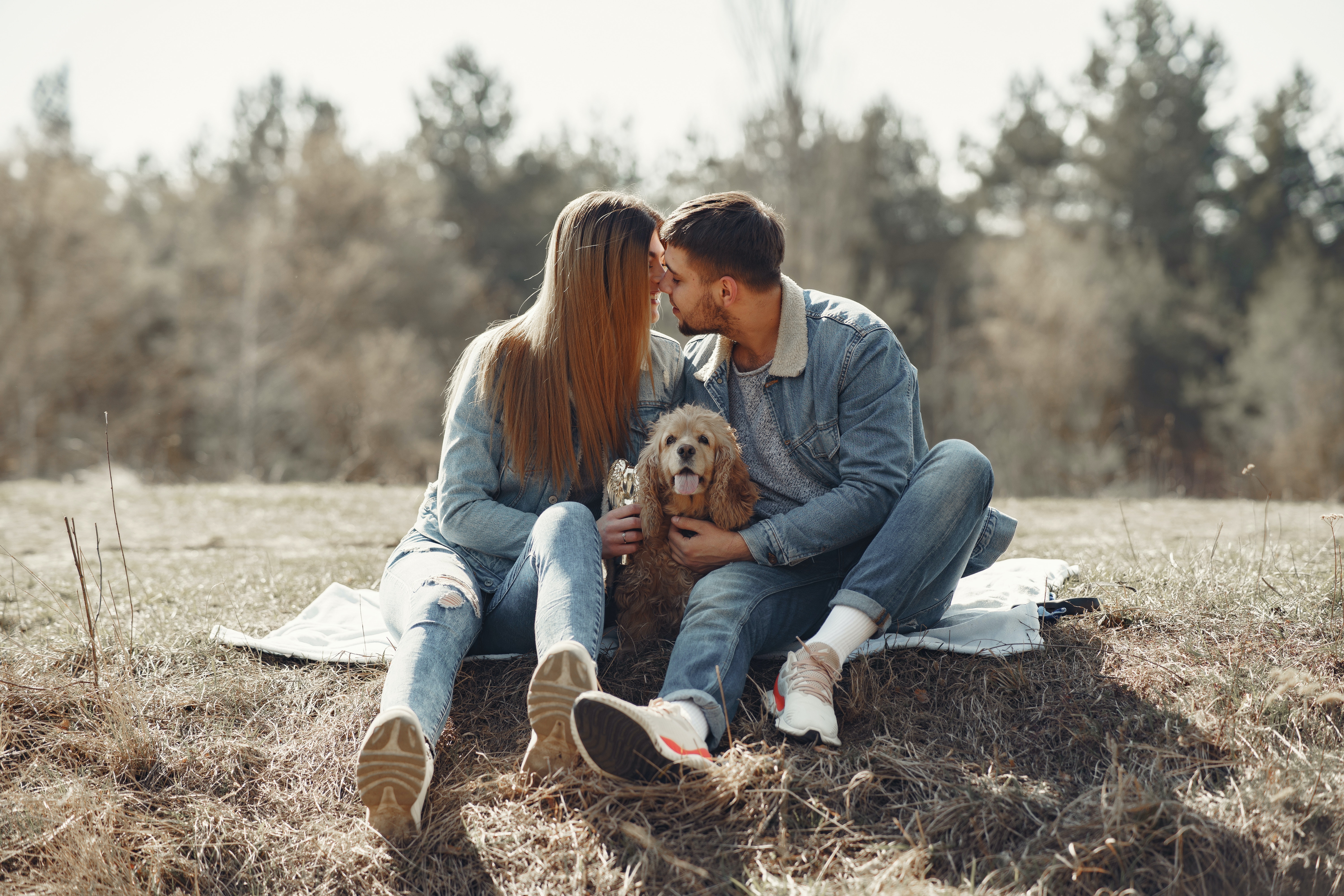 photo famille, photo chien, photo animaux, shooting photo animalier