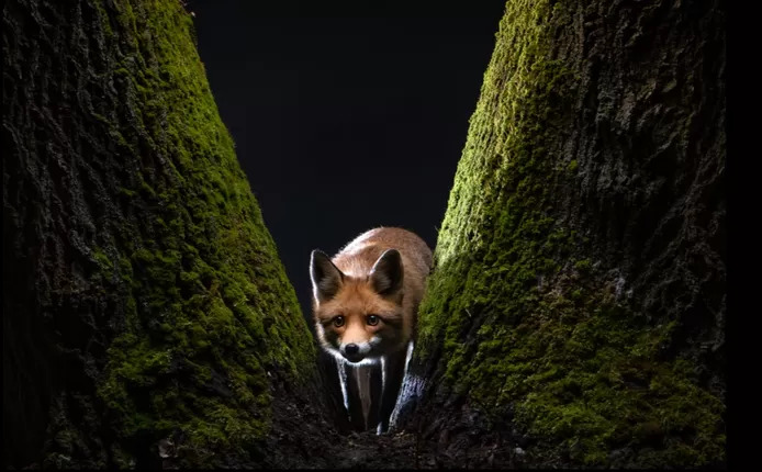photo et vidéo