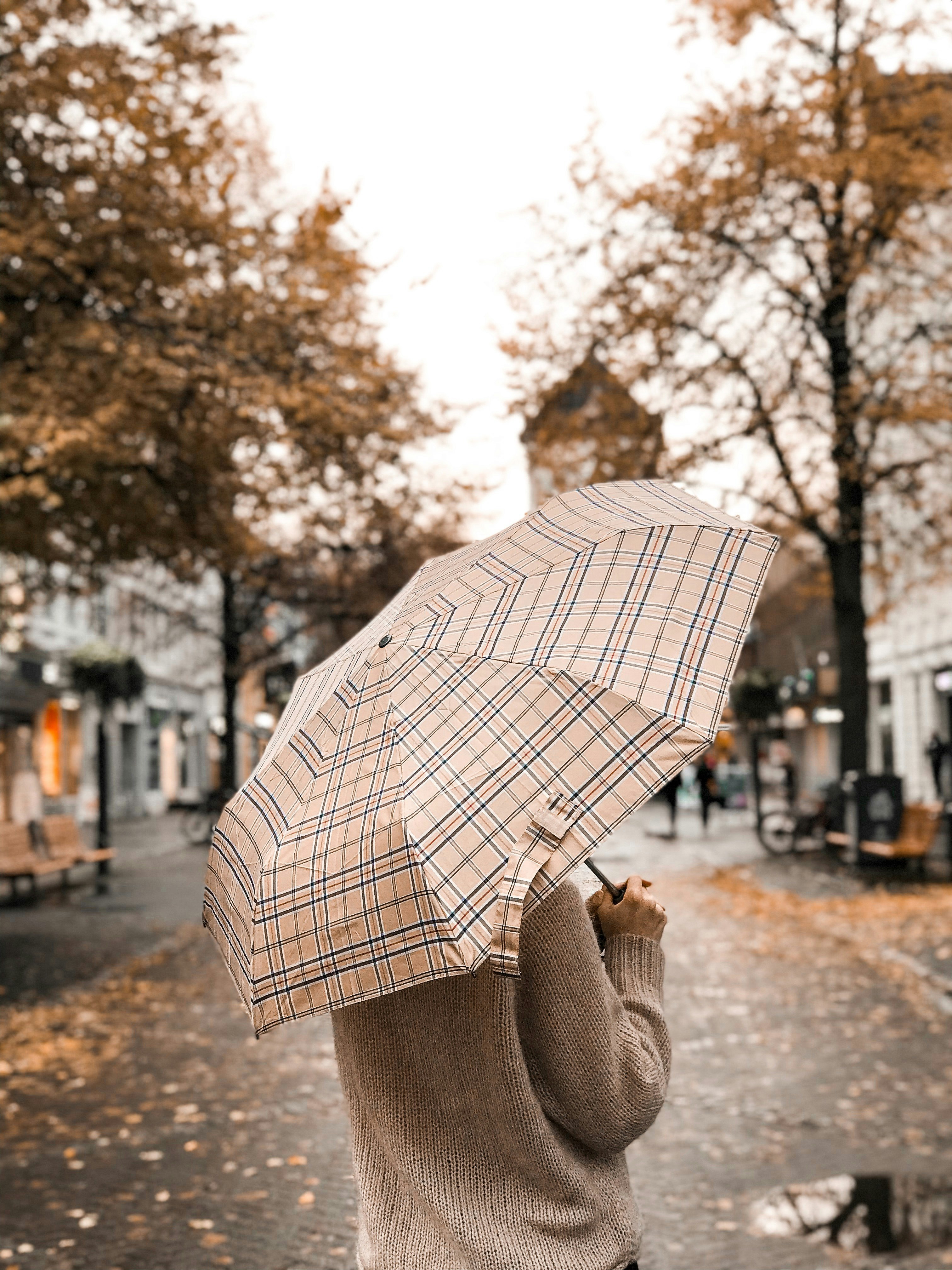 portrait automne