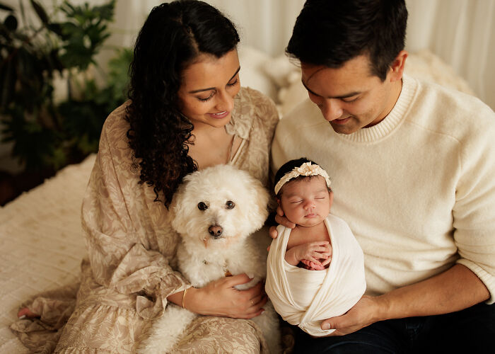 photo famille chien, photoshoot famille