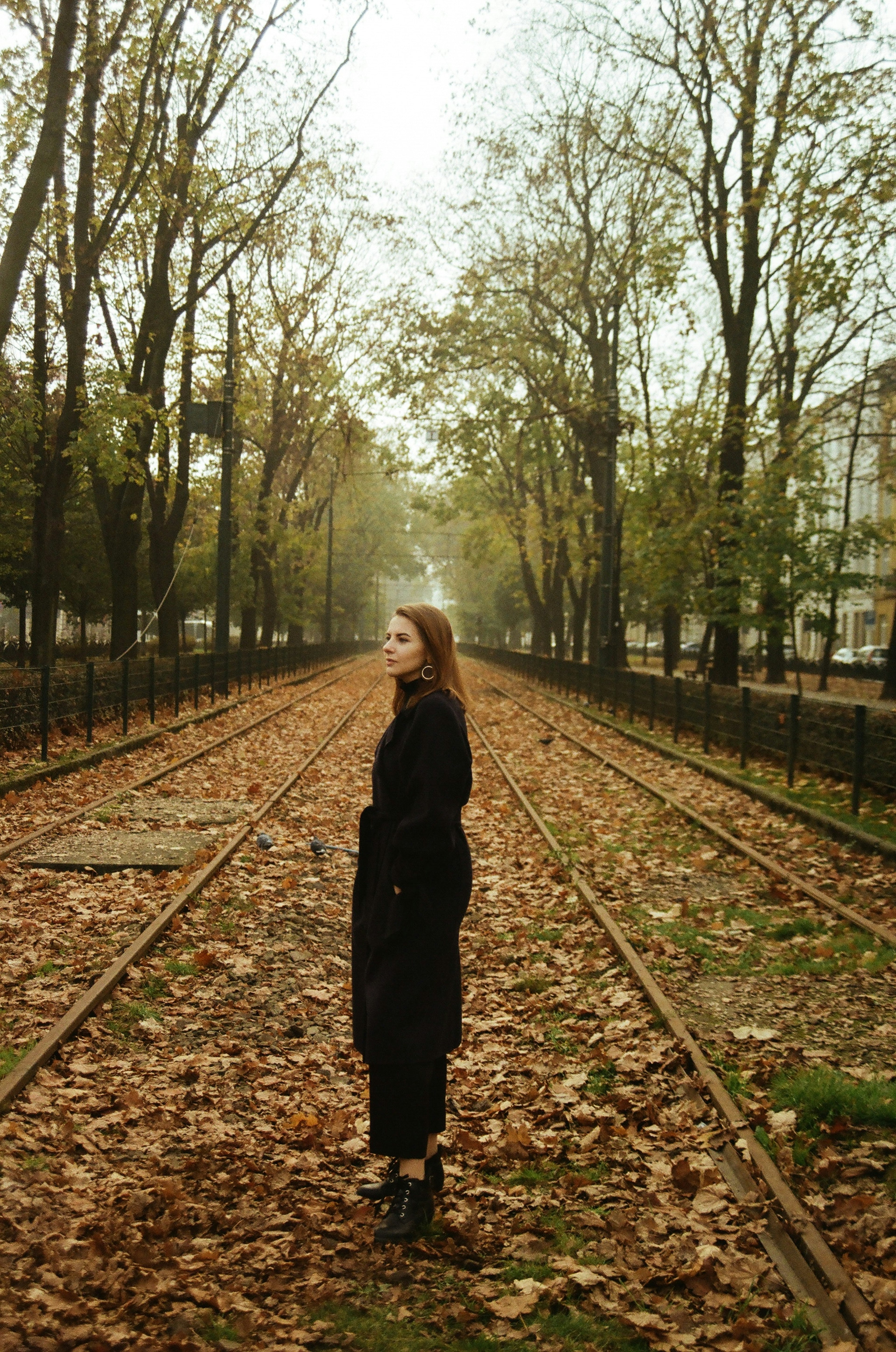 photo automne