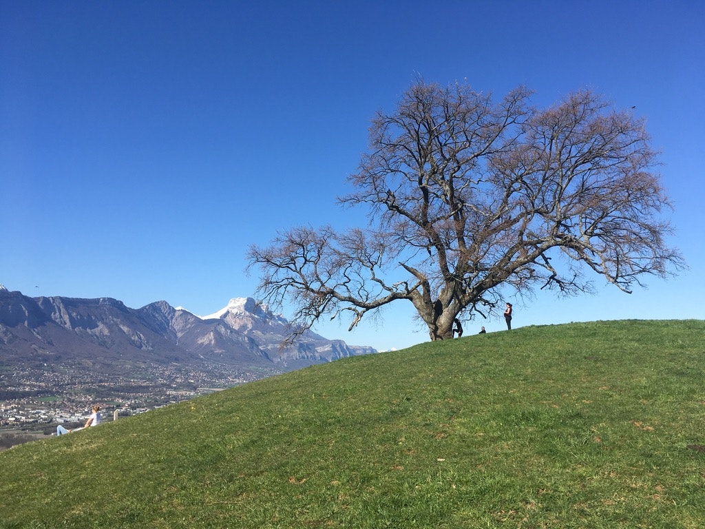 shooting photo Grenoble, photographe Grenoble, shooting photo famille Grenoble