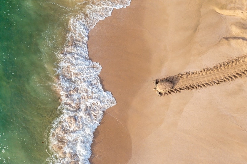 concours photos drone tortue sur la plage, photoshoot drone