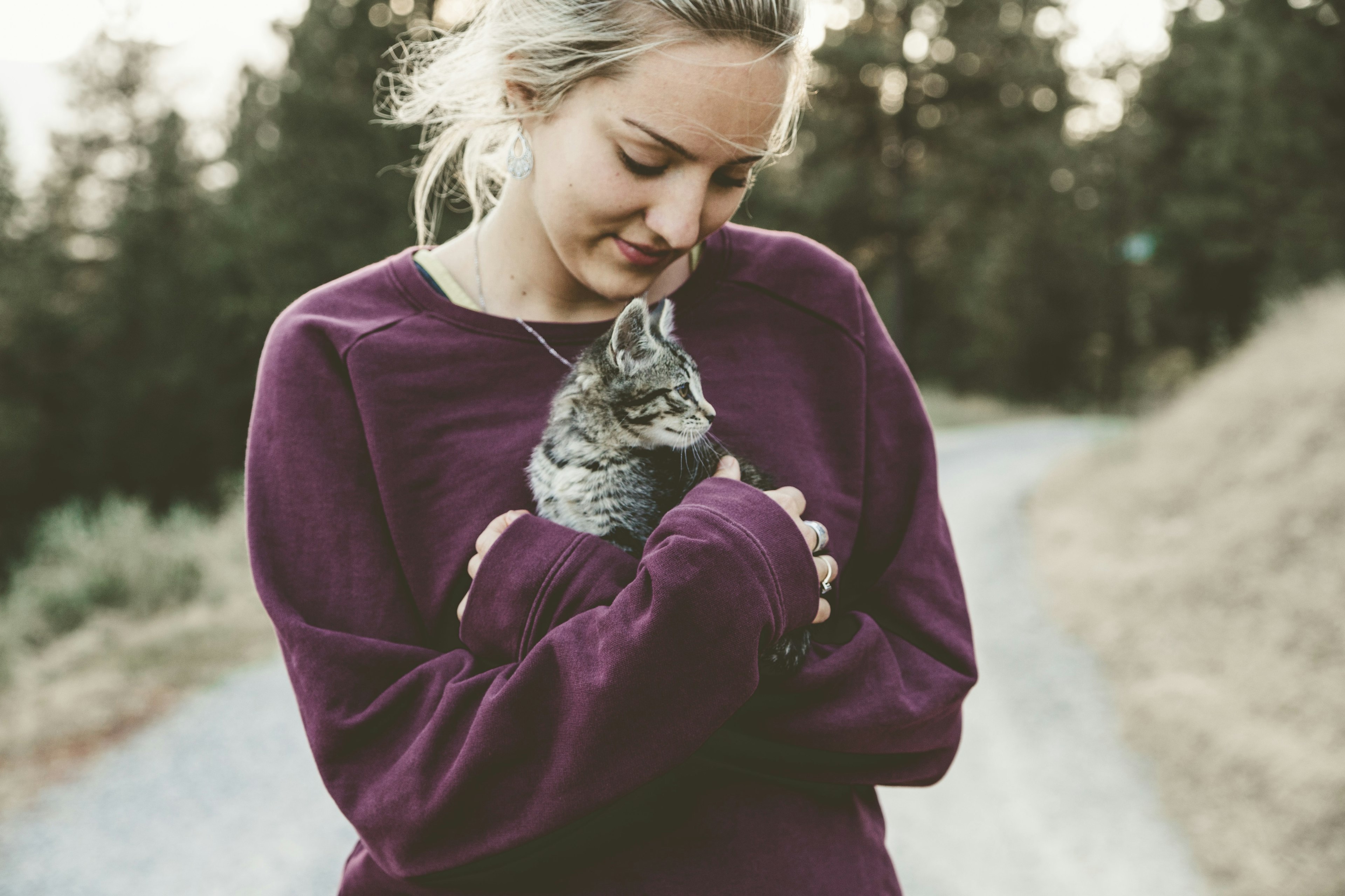 shooting photo animalier, photographe animalier, photo chat