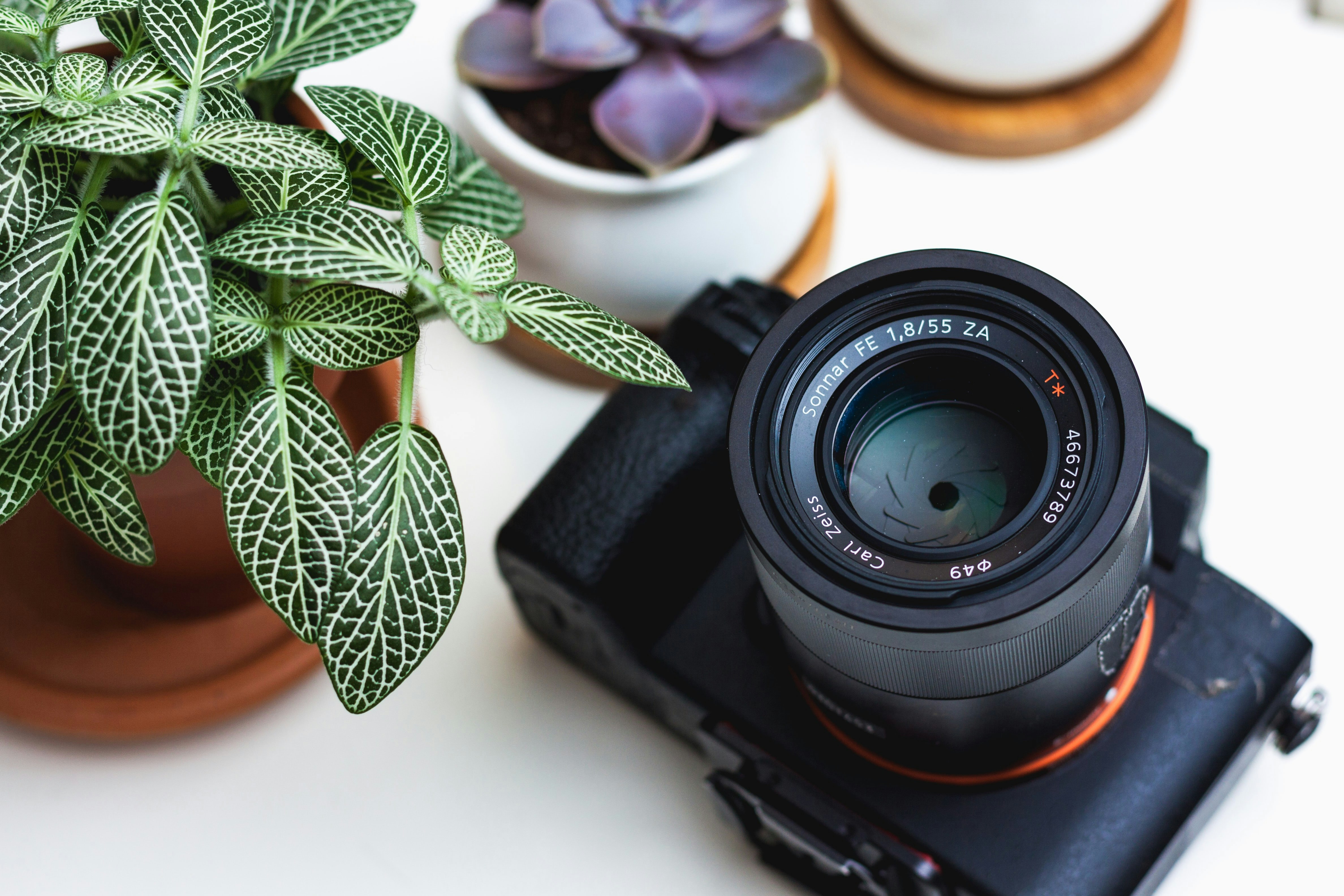 packshot photographie, e commerce photos