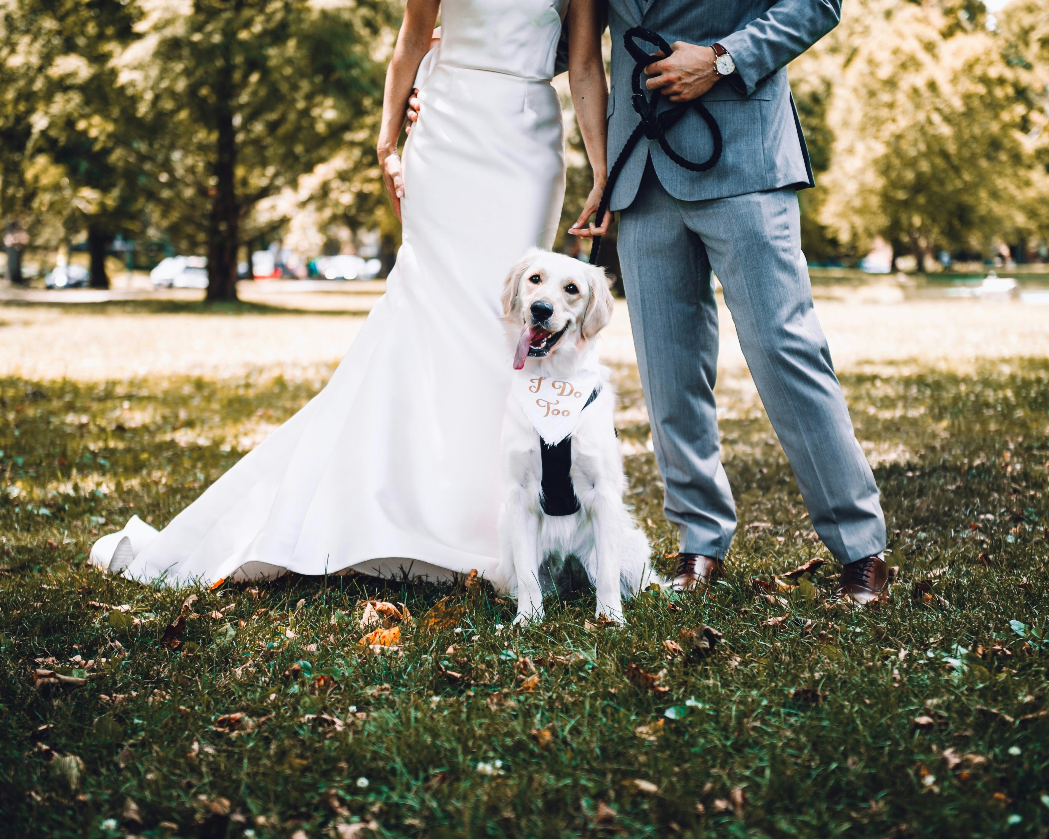 mariage, couple, photo couple, photographe mariage