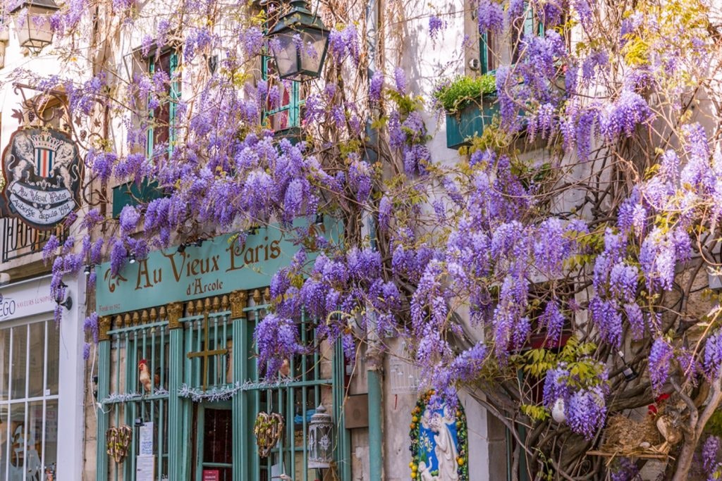 café à Paris, restaurant paris