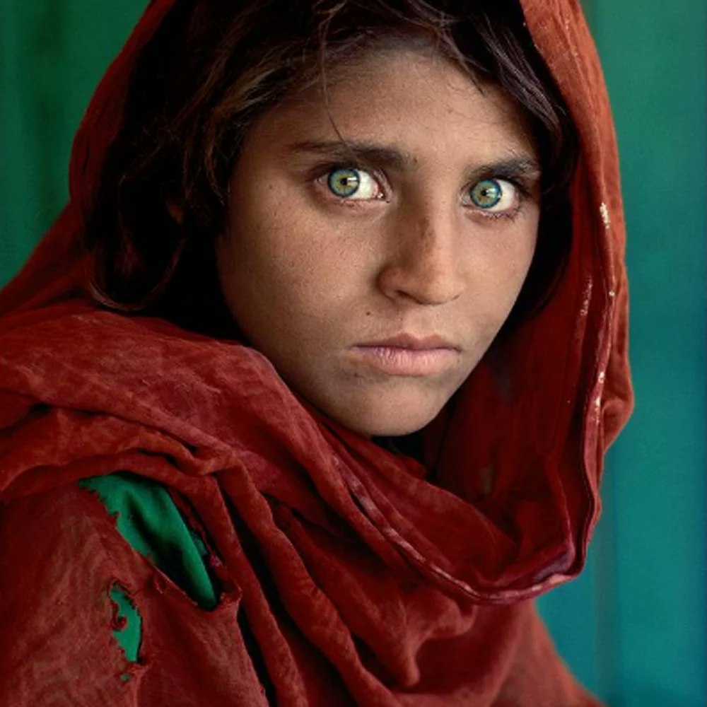 portrait célèbre, afghane aux yeux verts