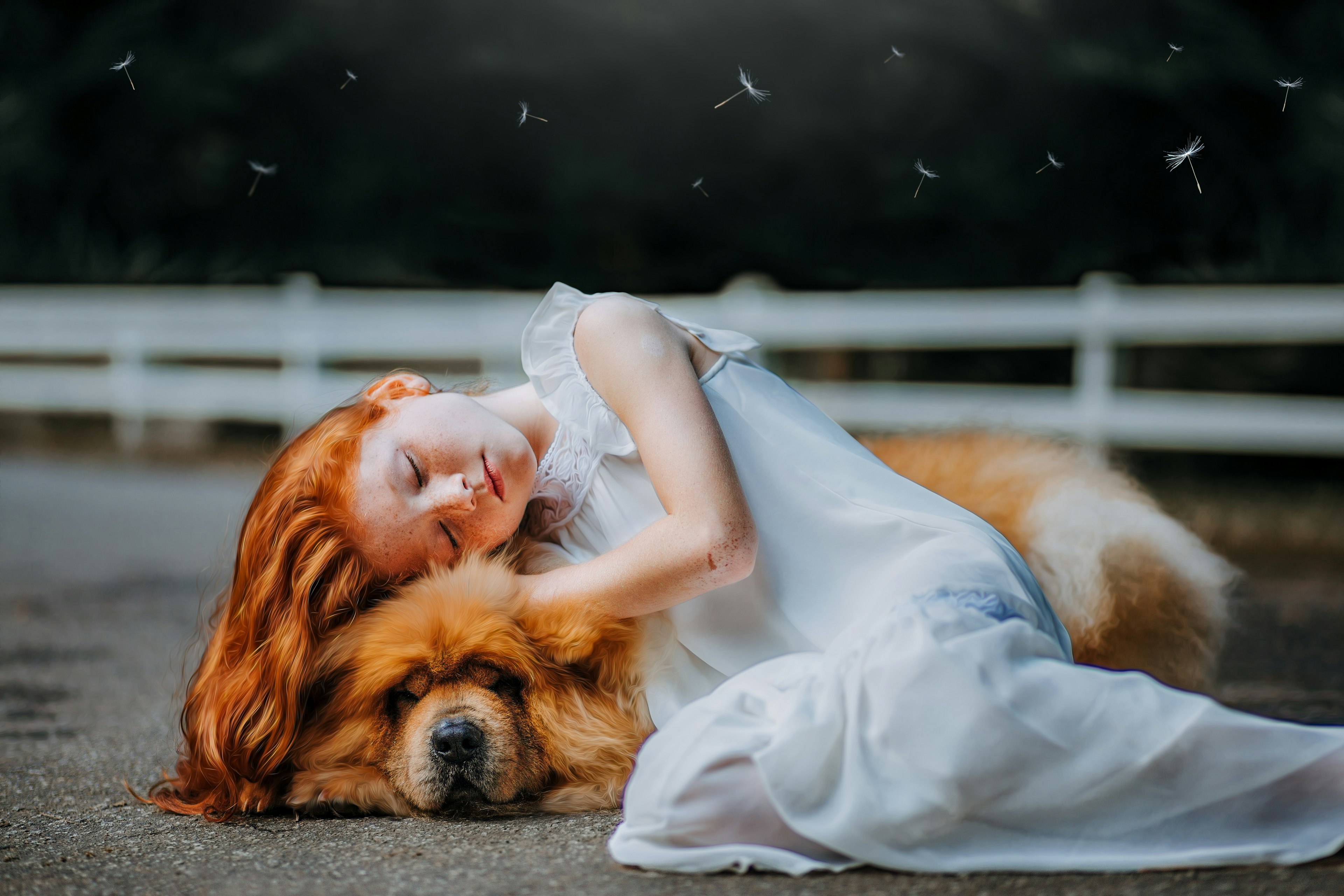 photographe animalier, shooting photo animalier, photo animal