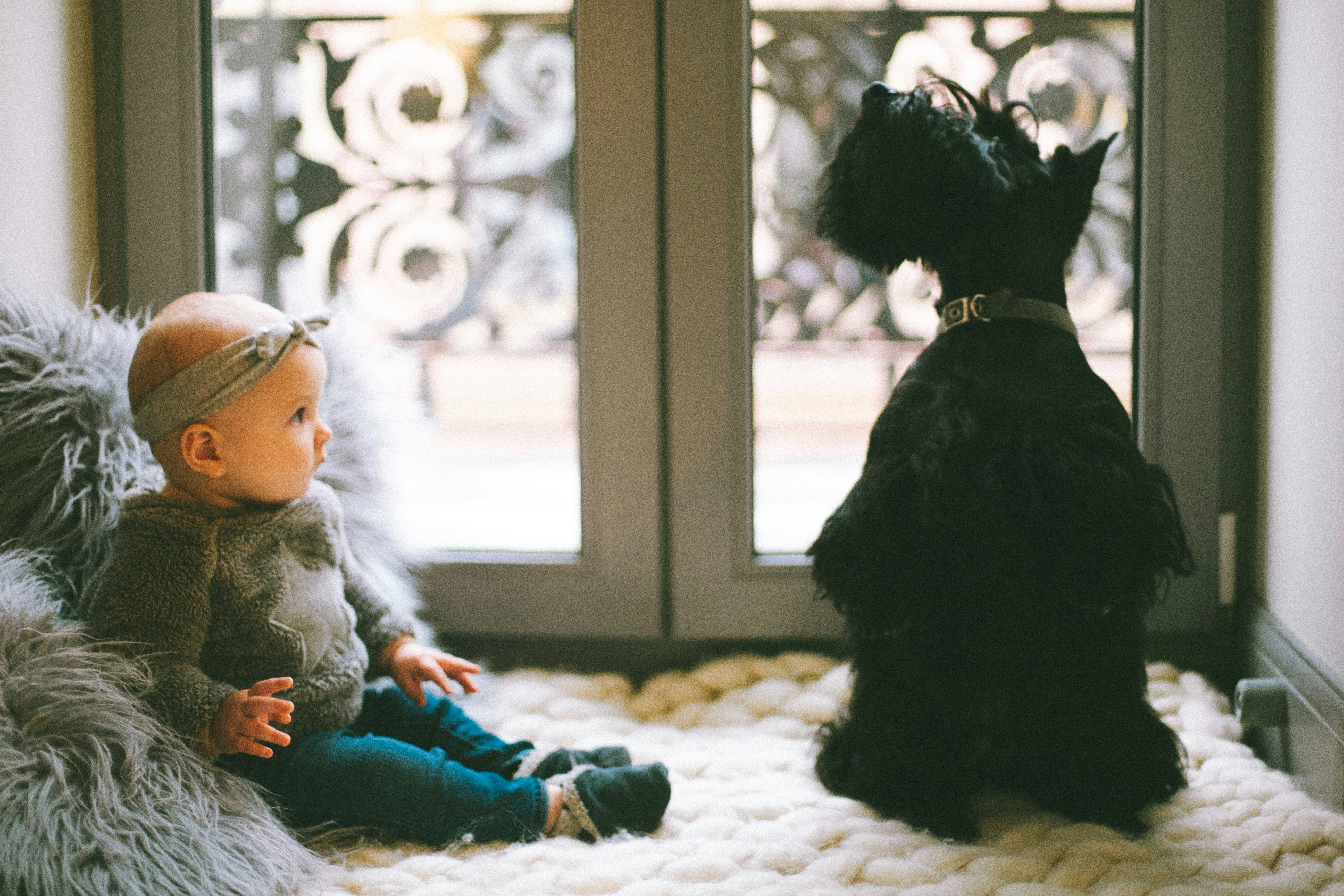 shooting photo baby, photographer baby