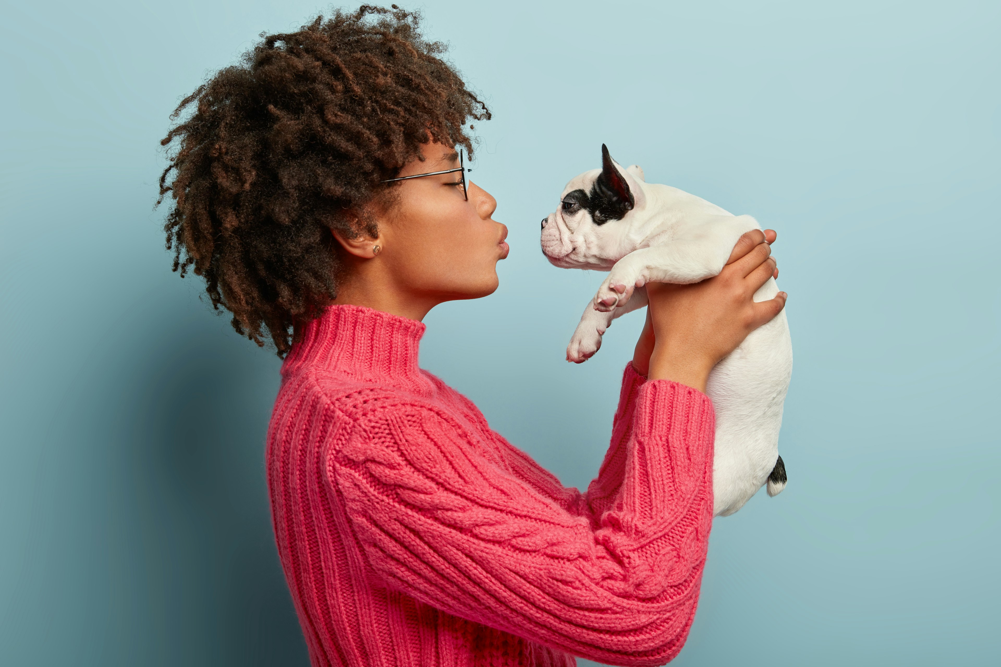 photographe animalier, shooting photo animalier