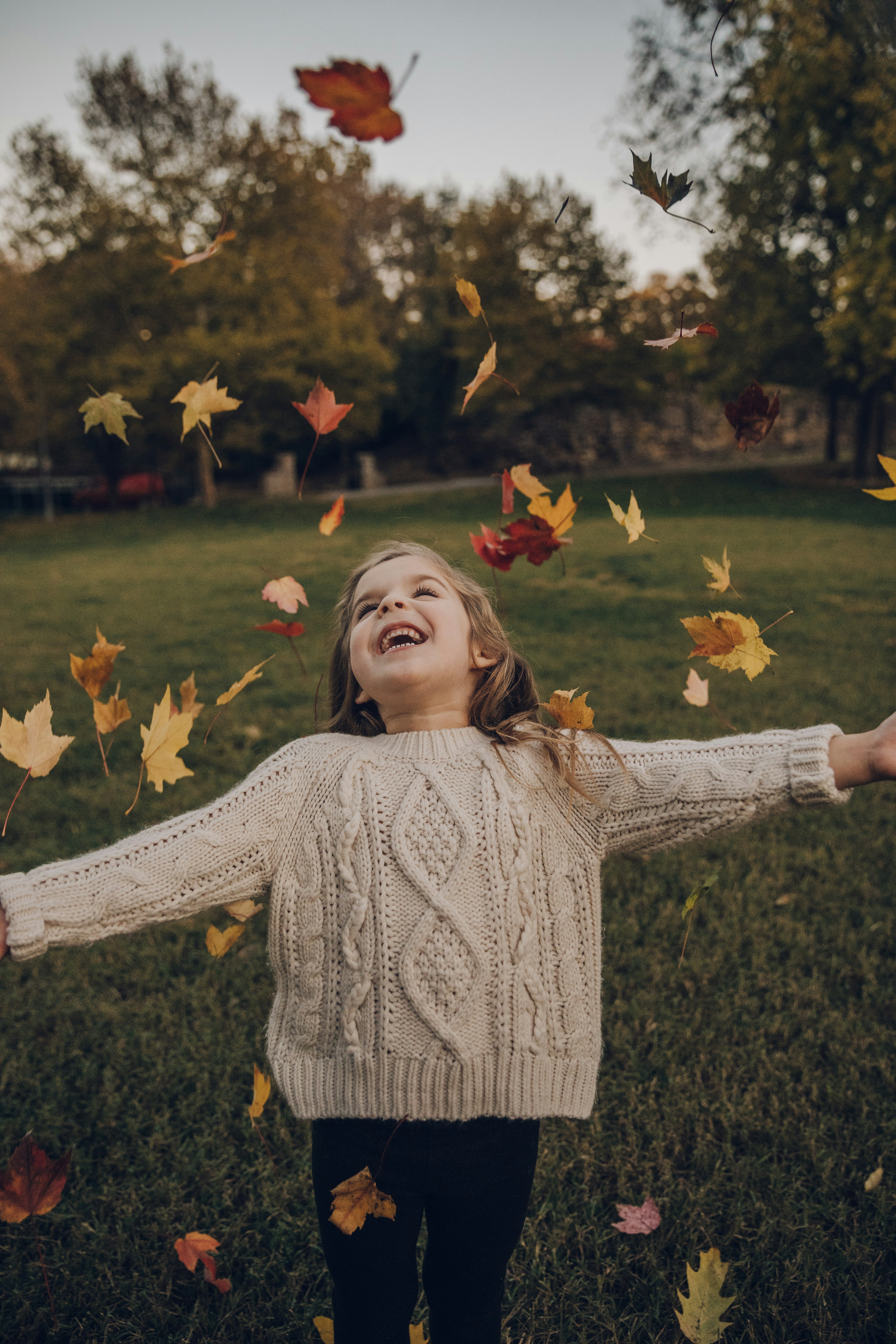 photo automne