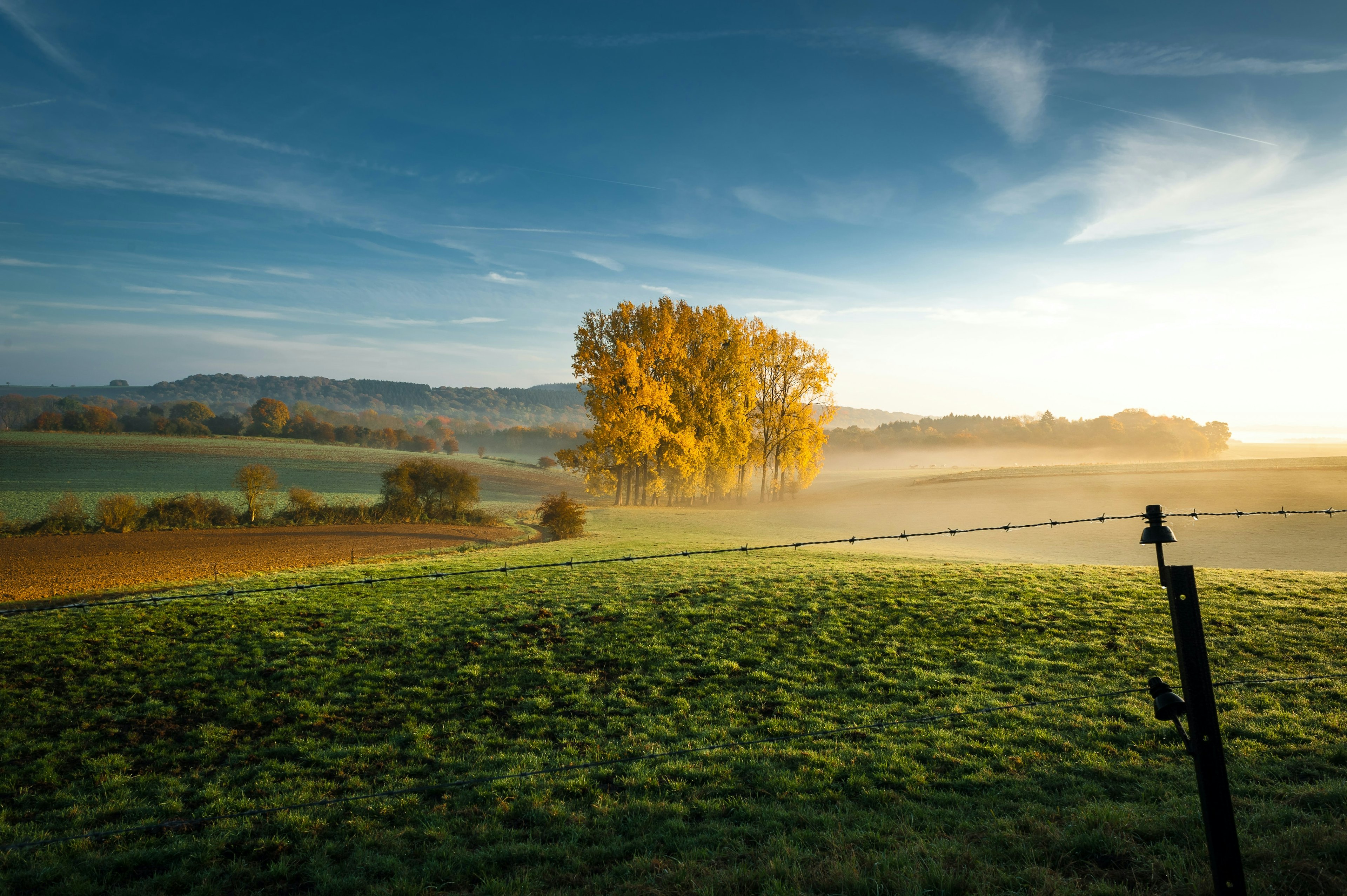 photographe brabant wallon