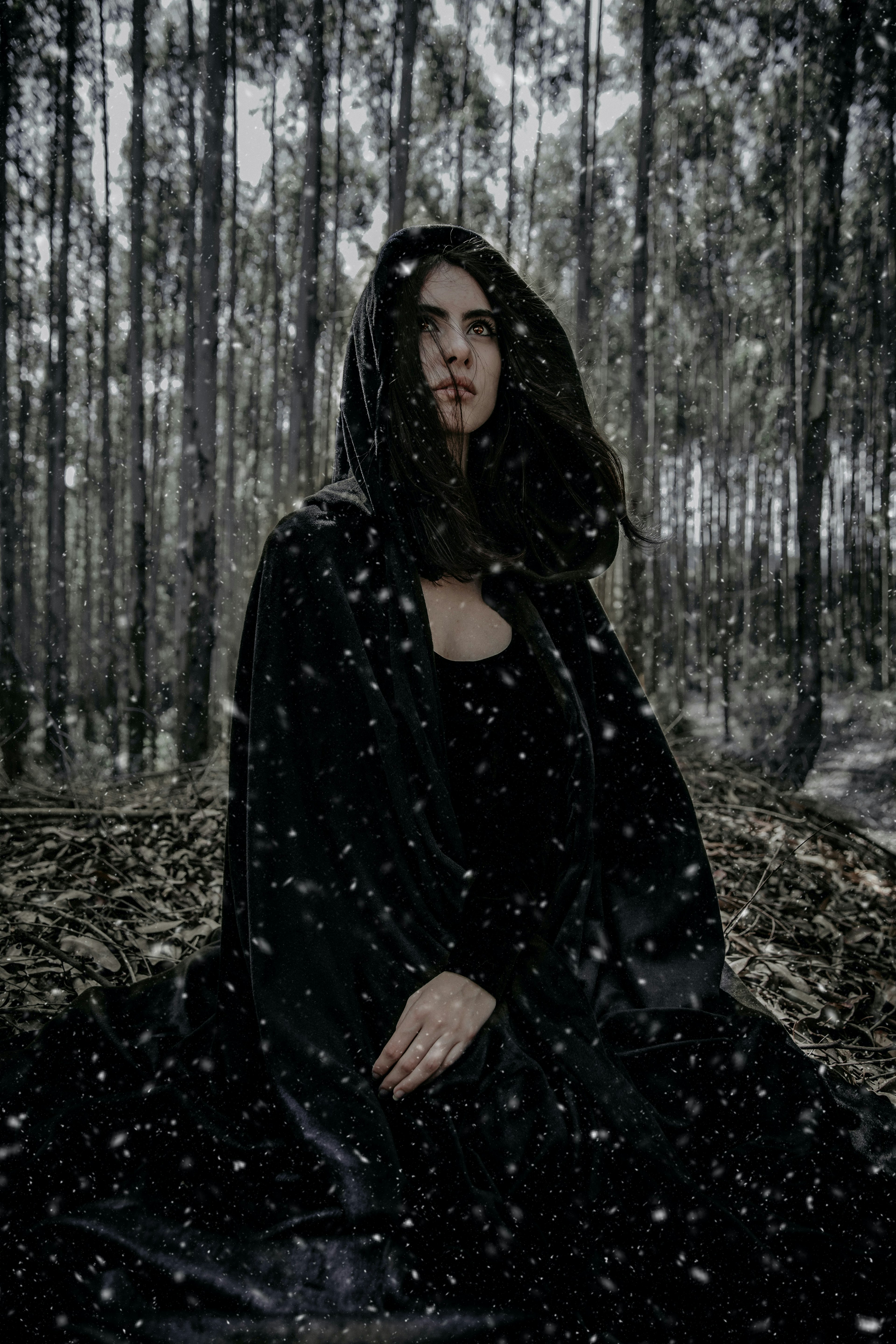 photo profil hiver