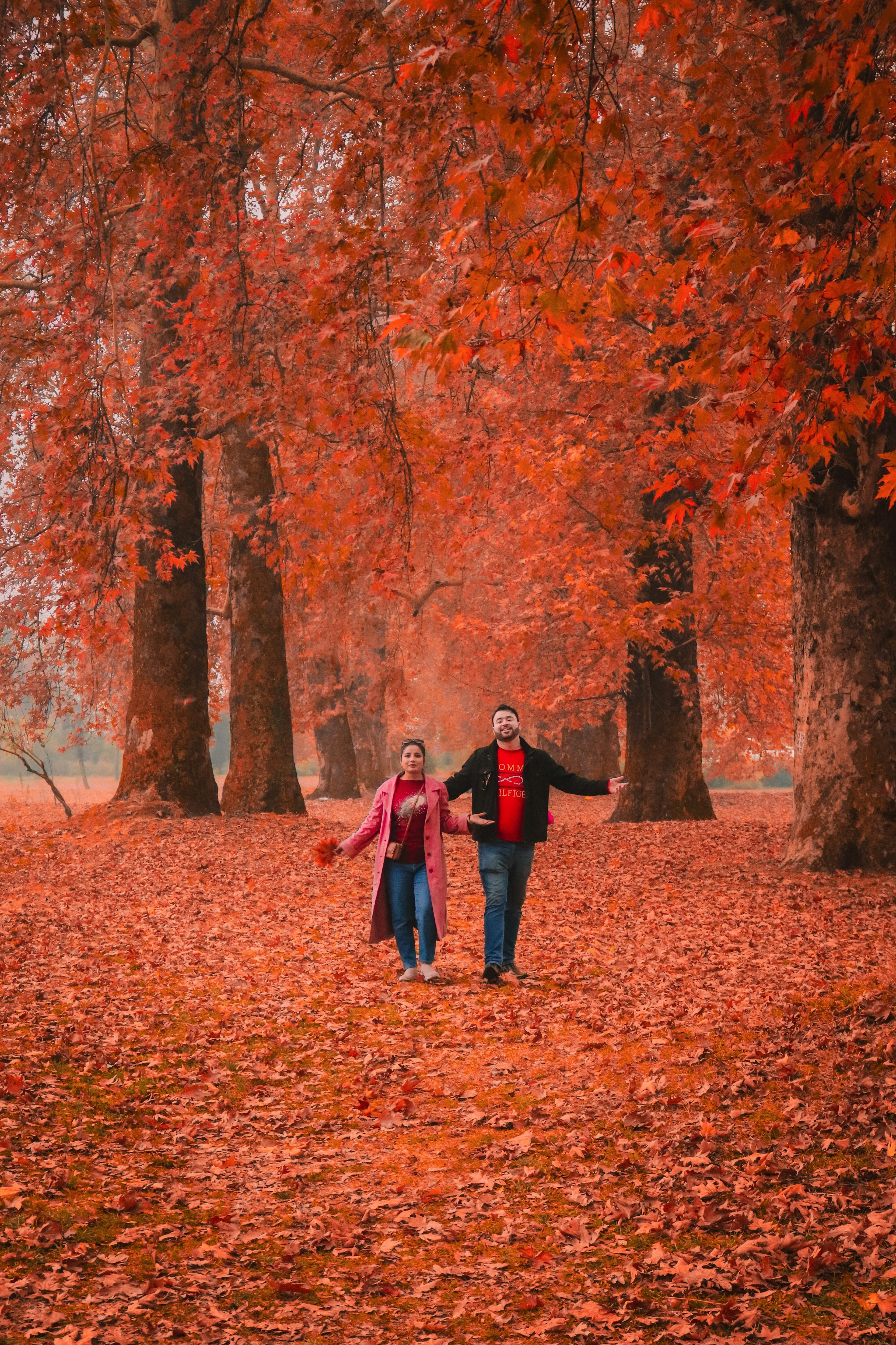 photo grossesse extérieur automne