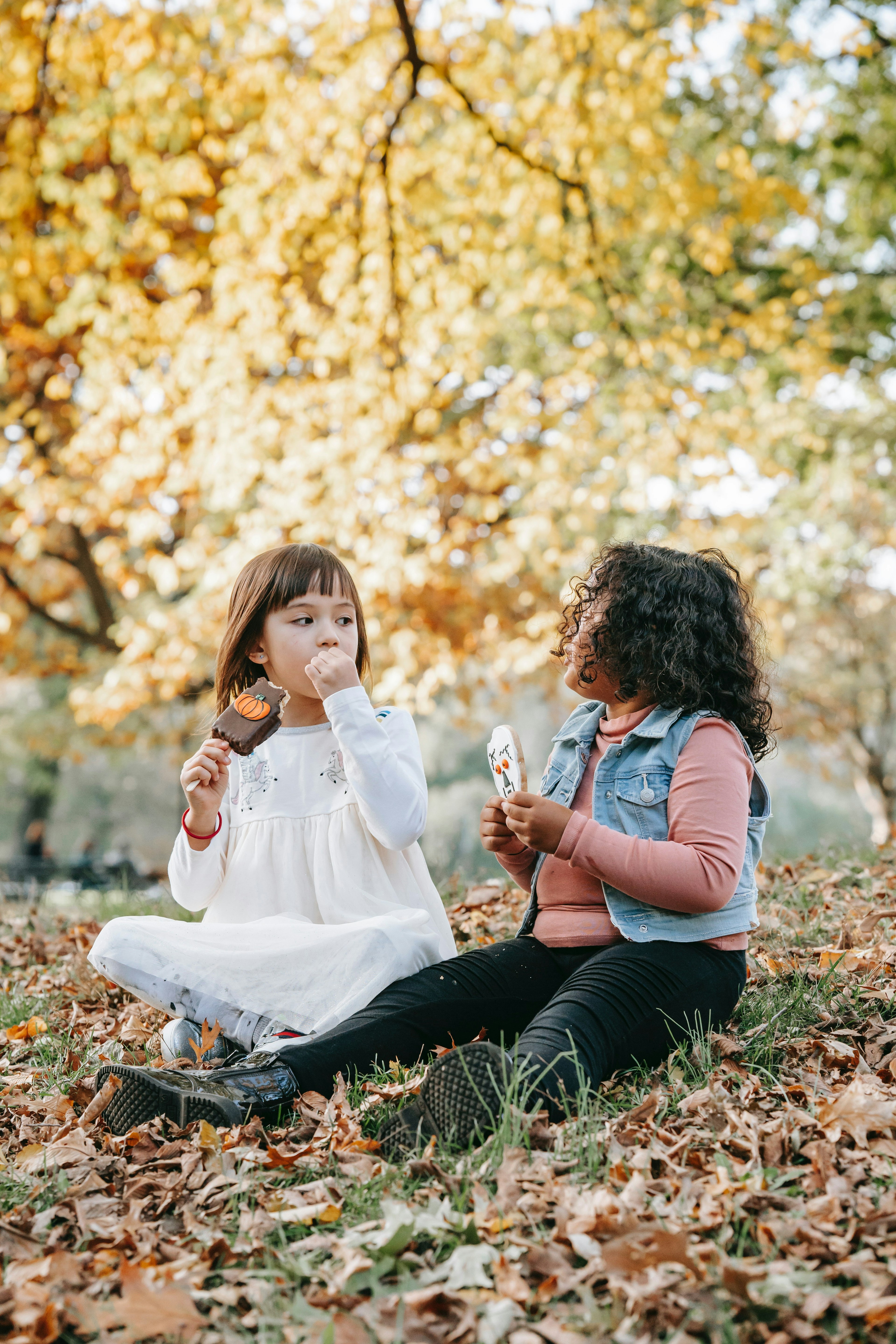 photographe automne