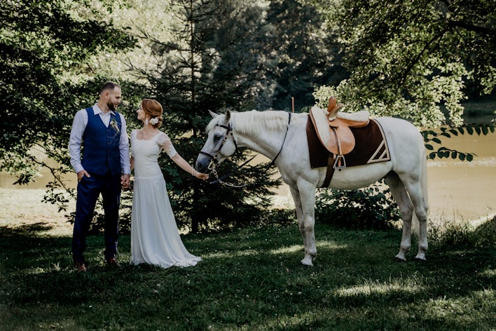 shooting photo cheval, photo cheval