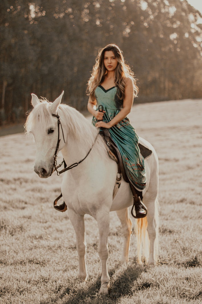 shooting photo cheval, photo cheval
