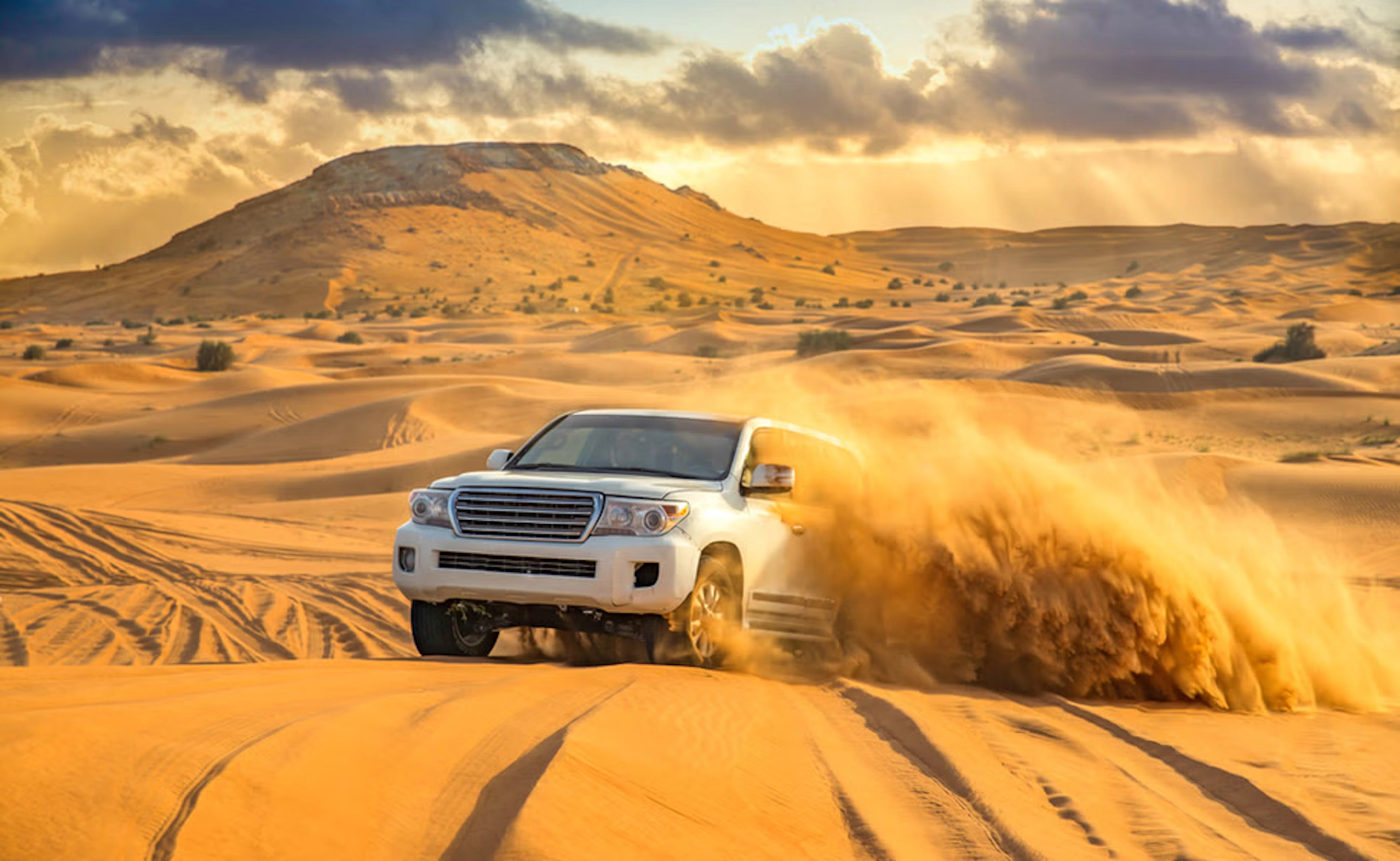 Jeep-safari