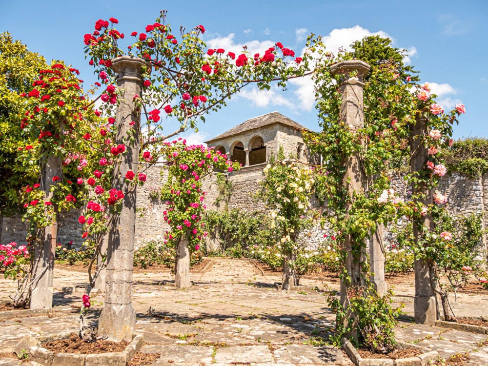 The Rose Garden developed by Randolph Hearst