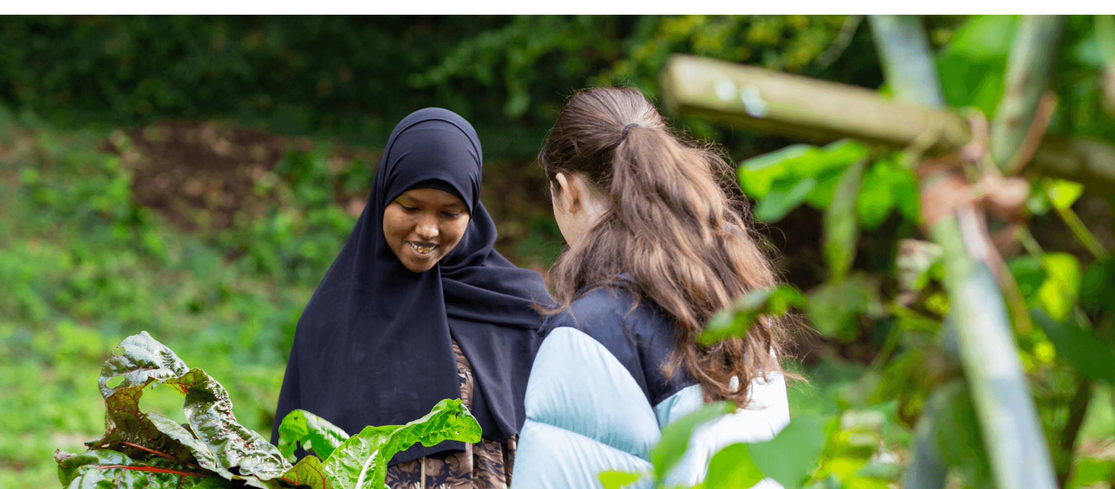 students in the garden