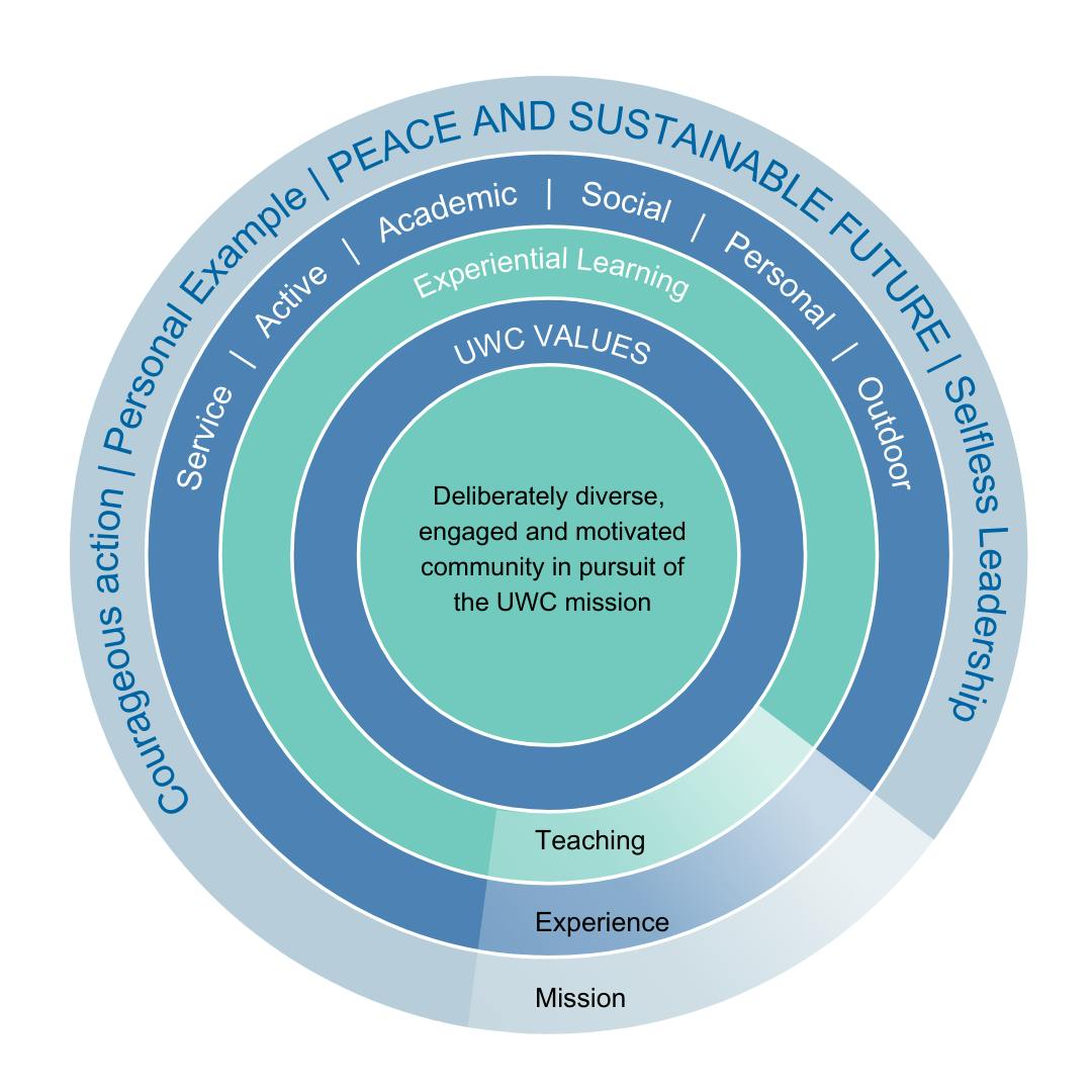 Educational model infographic