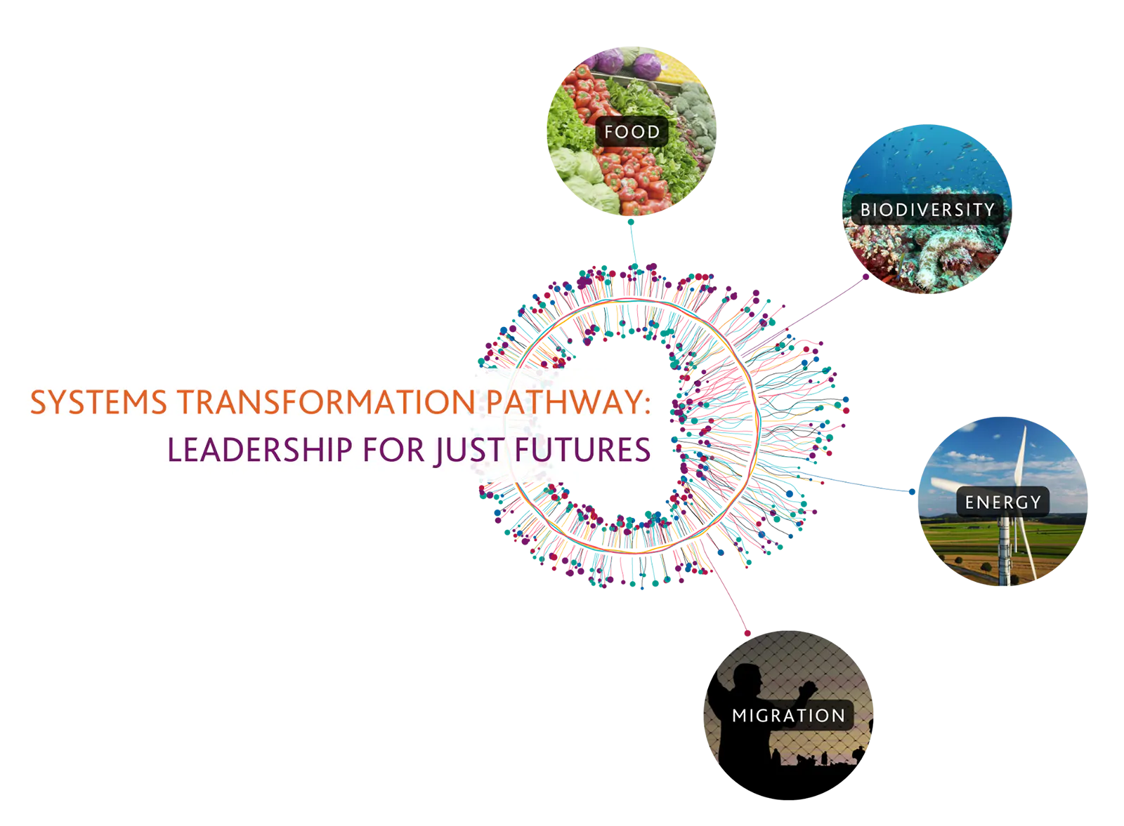 Transform Systems Systems Transformation Pathway | Academic | Learning | UWC Atlantic College