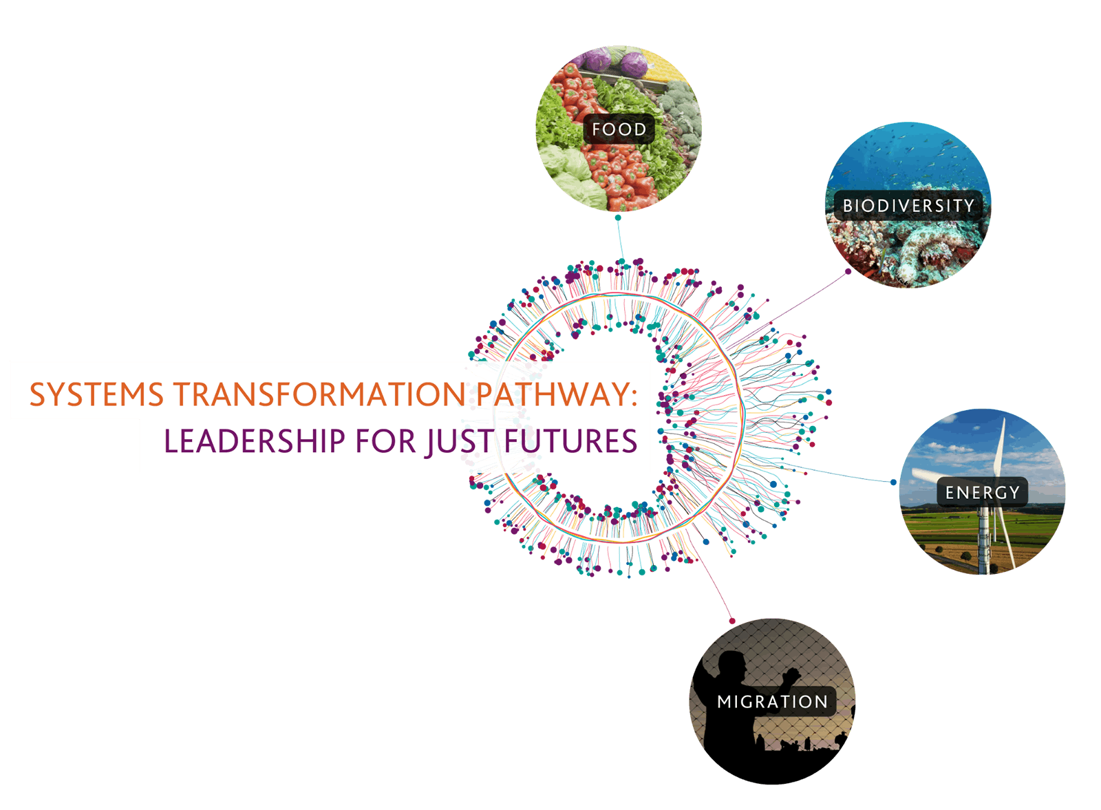 systems transformation pathway - food, biodiversity, energy, migration