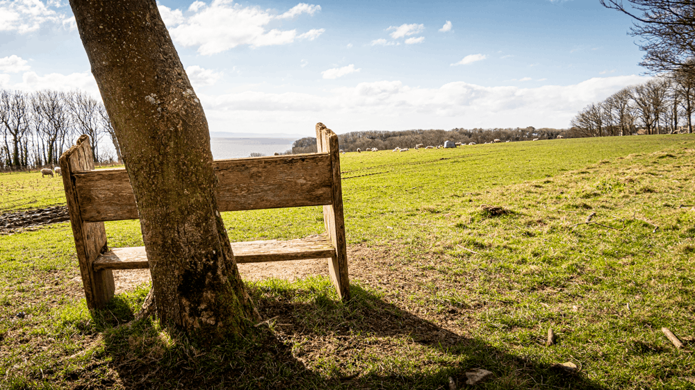 bench overlooking the ocean