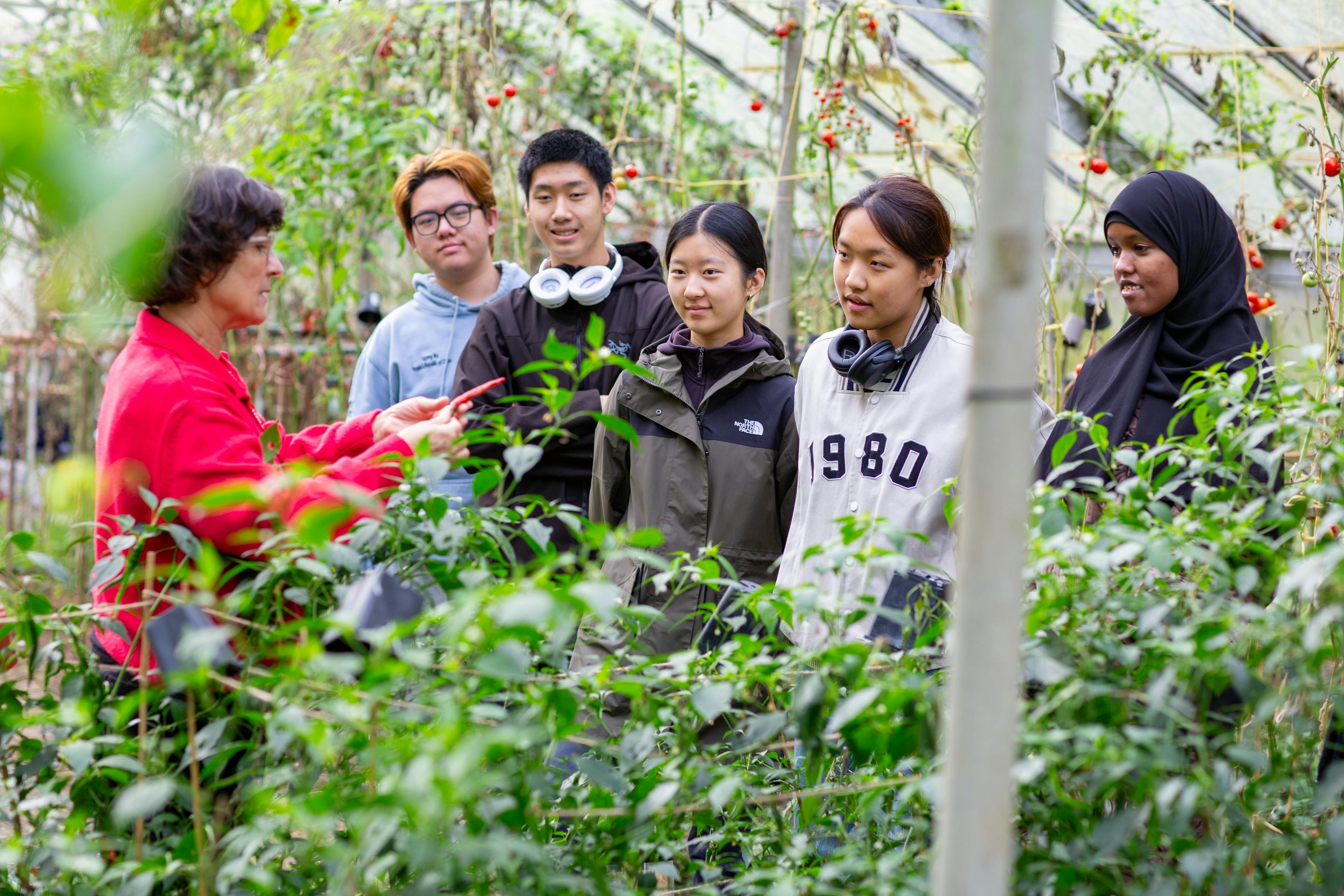 UWC Atlantic students and staff in the Greenhouse with plants