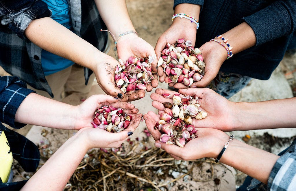student hands with seeds
