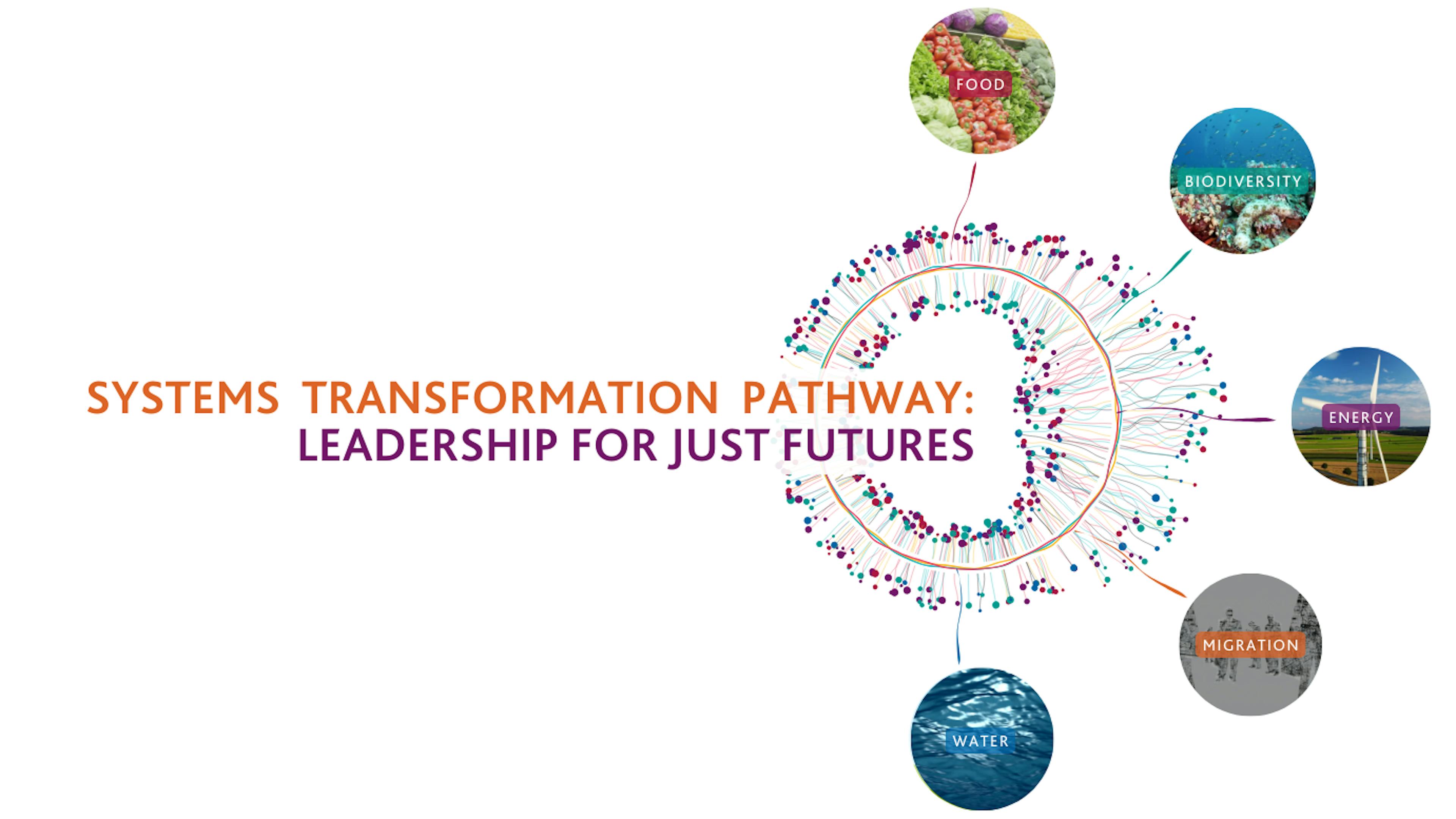 Systems Transformation Pathway logo with 5 impact areas