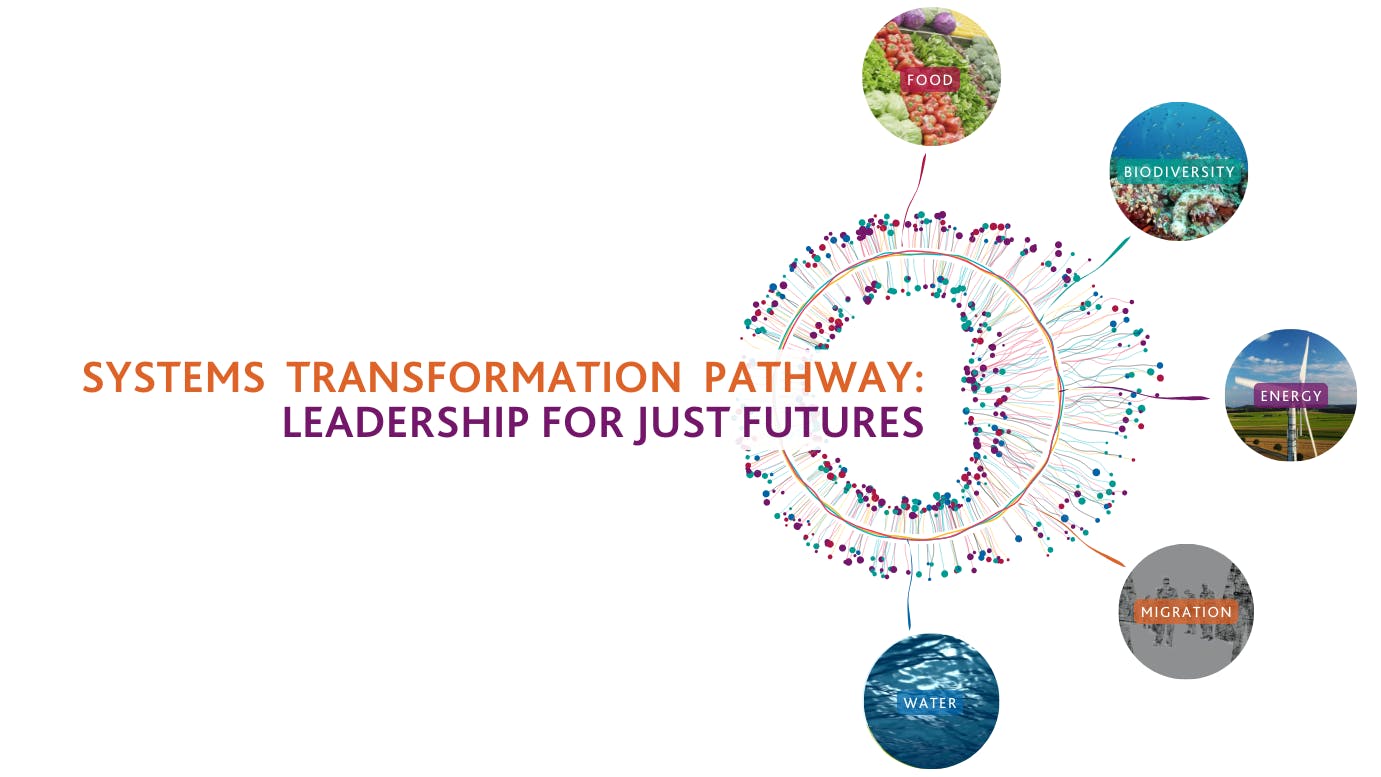Systems Transformation Pathway logo with 5 impact areas