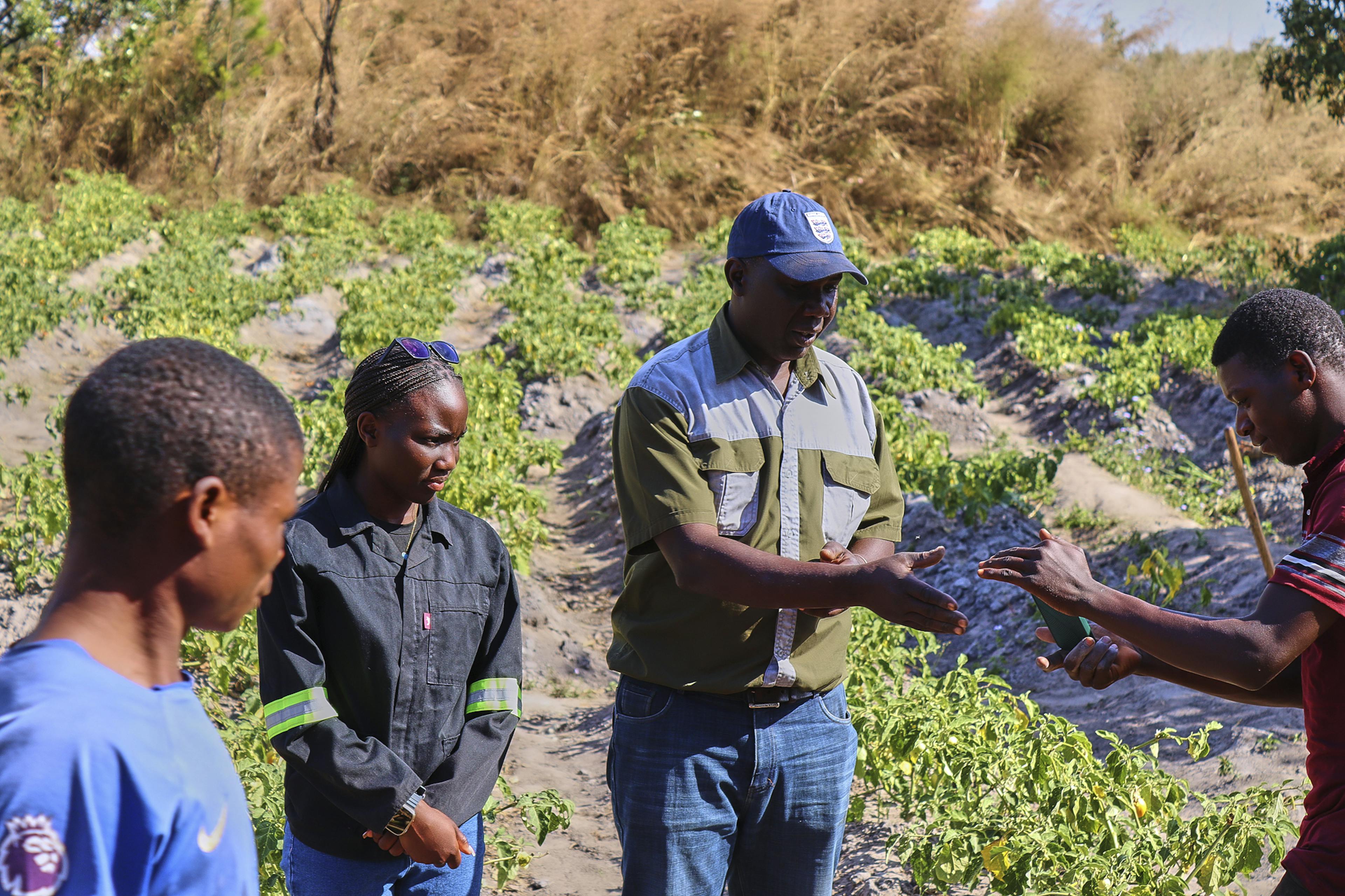 Let's feed the Village Project in Zambia