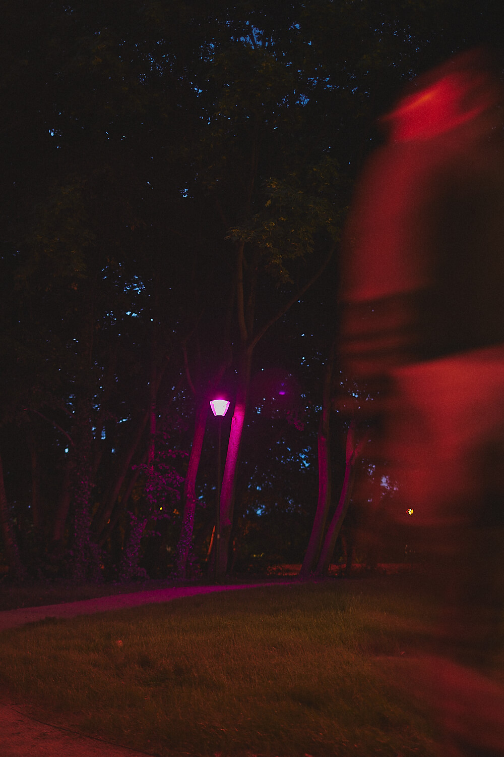 ph .Daria szczygiel courtesy artist