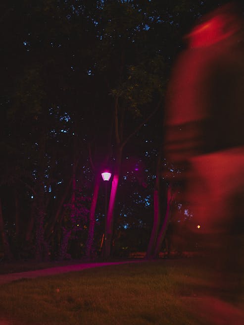 ph .Daria szczygiel courtesy artist