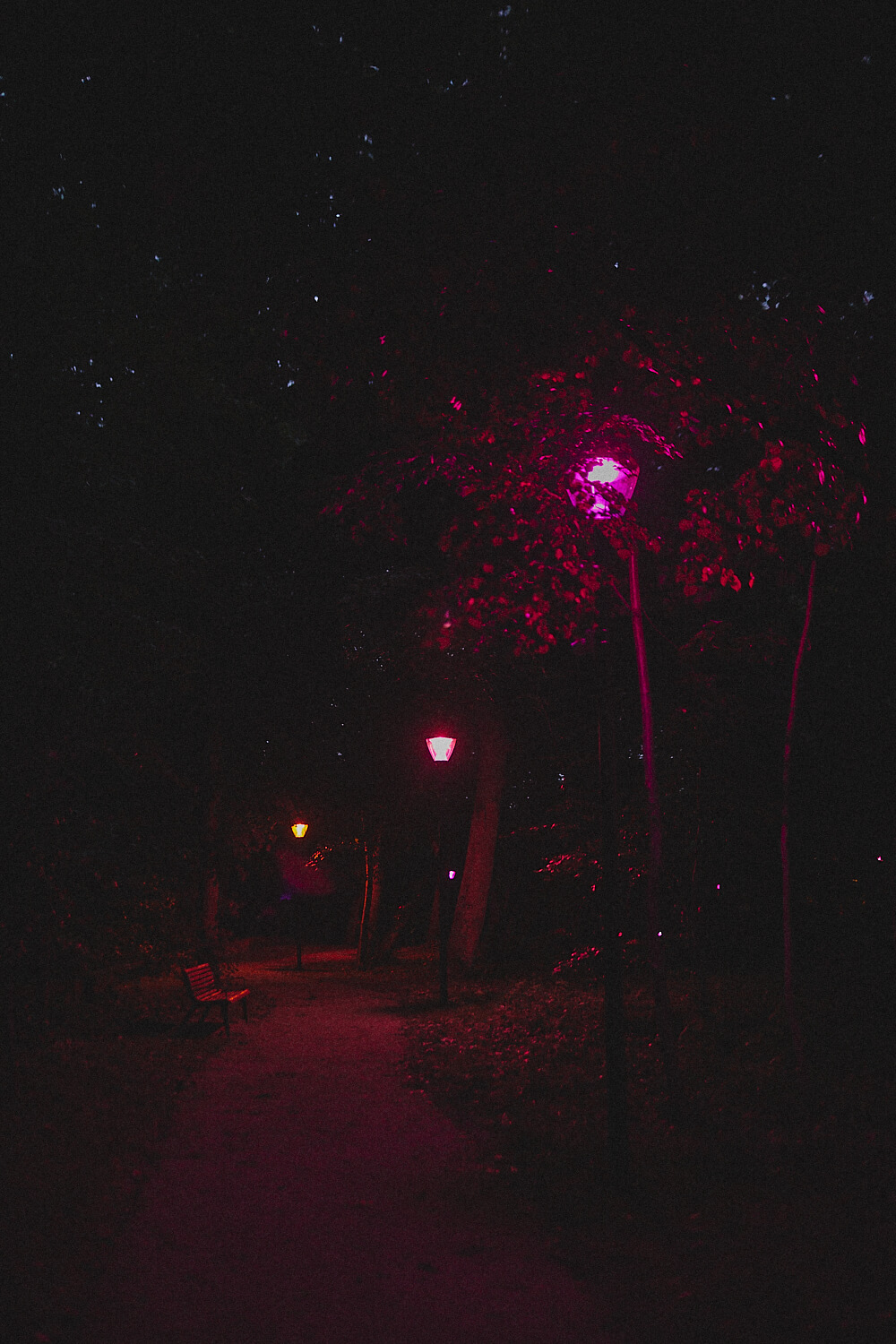 ph .Daria szczygiel courtesy artist