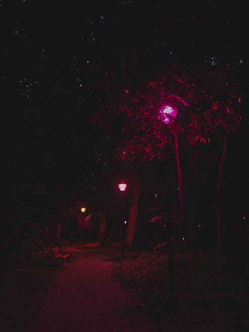 ph .Daria szczygiel courtesy artist