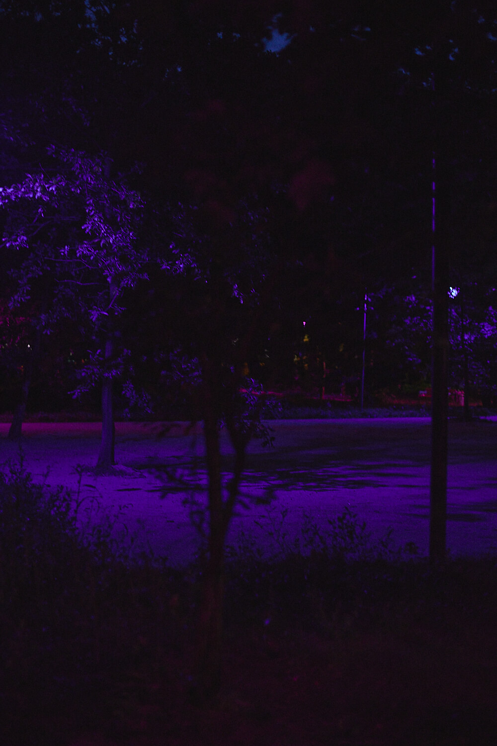 ph .Daria szczygiel courtesy artist