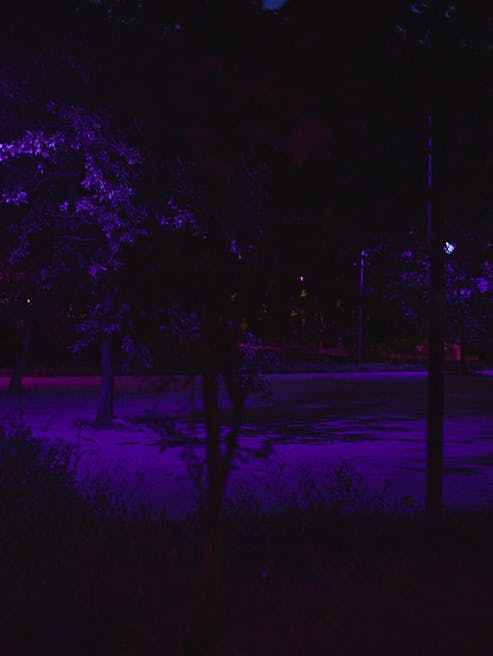 ph .Daria szczygiel courtesy artist